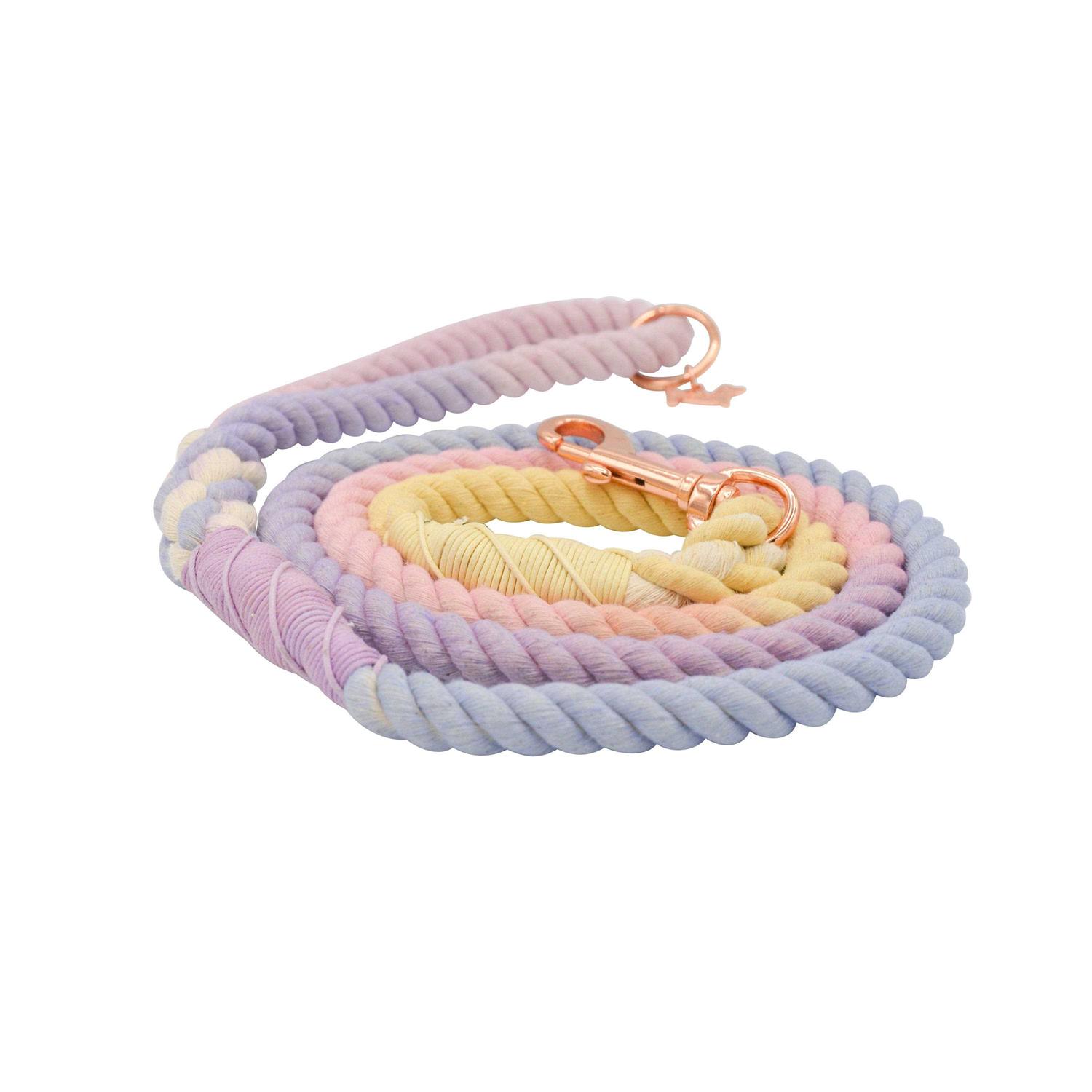 Dog Rope Leash Sassy Woof - Healthber
