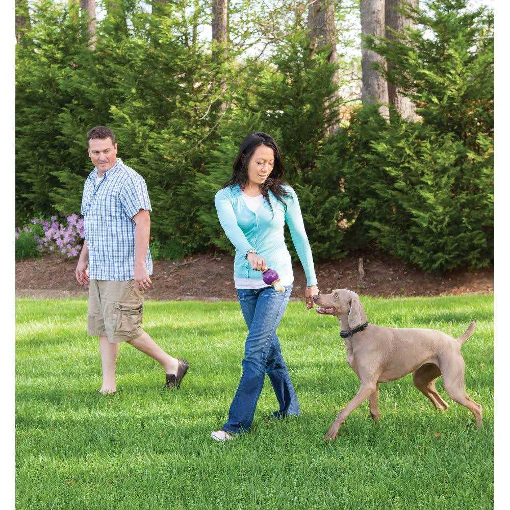 PetSafe Stay & Play Wireless Fence with Replaceable Battery Collar - Healthber