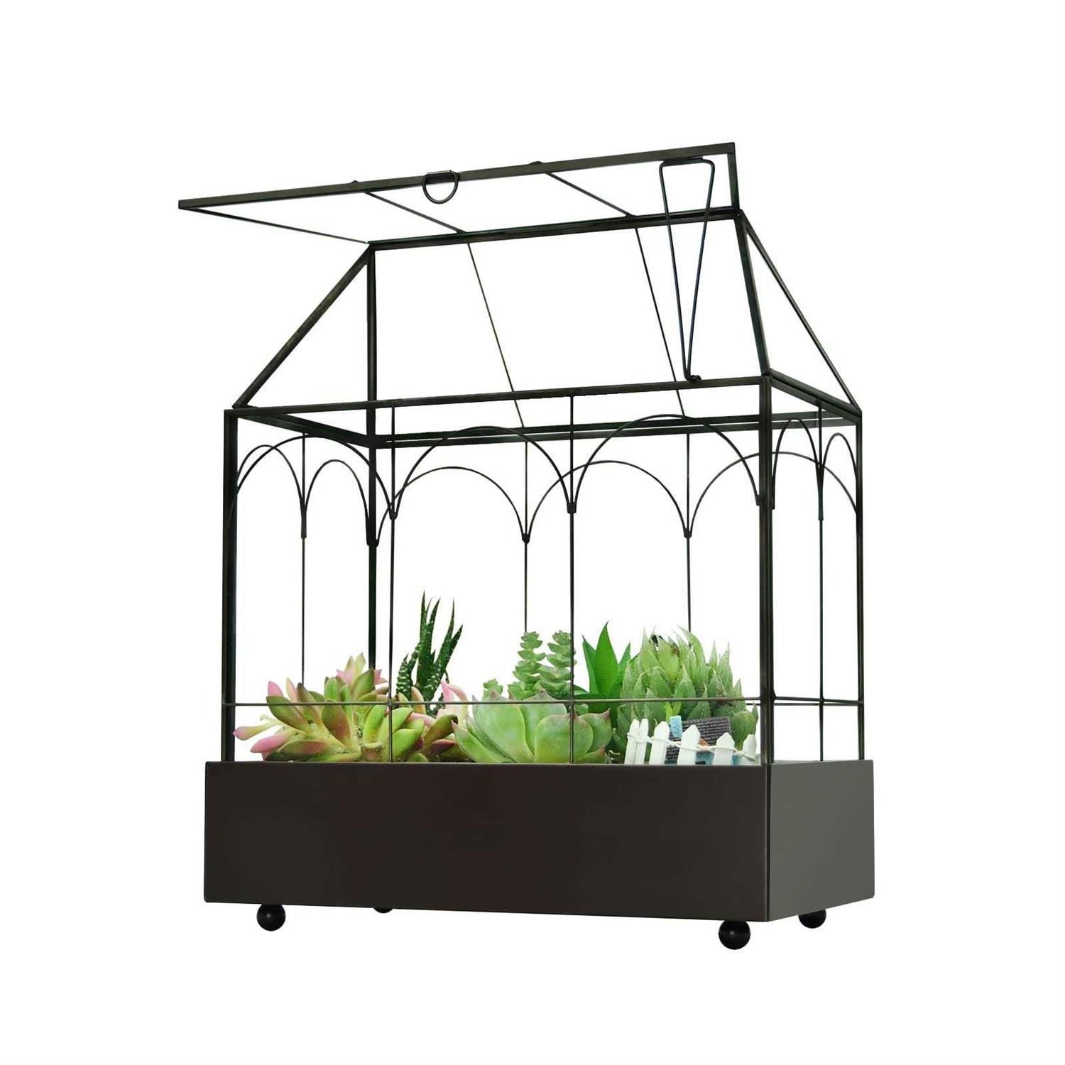 YIMORENcE V Large Tall glass Plant Terrarium – House Succulent Terrarium Kit with Lip and Tray - Healthber