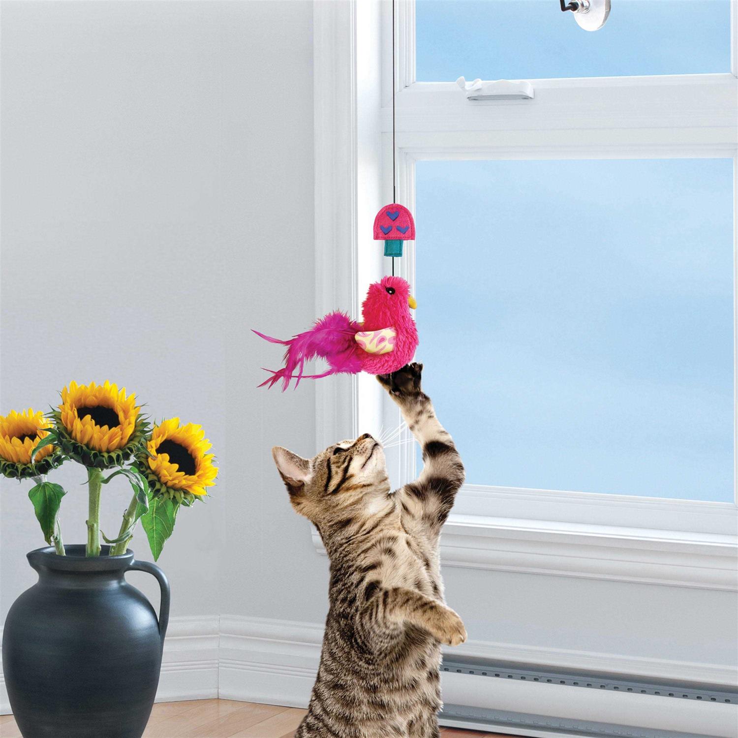 KONG Window Cat Teaser - Healthber