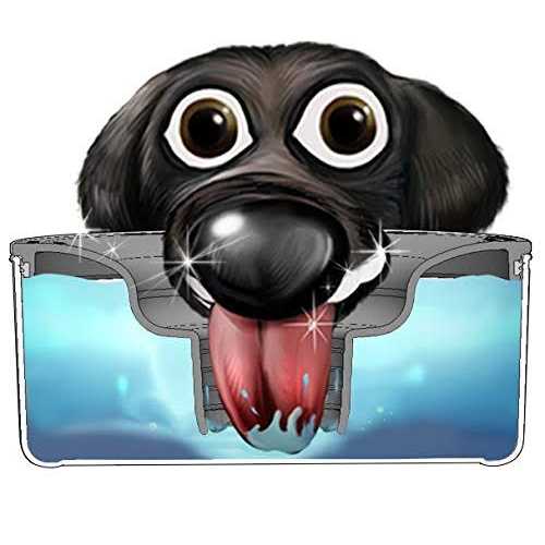 Slopper Stopper Dripless Water Bowl Tritan Plastic Bowl Unit Breed Dogs - Healthber