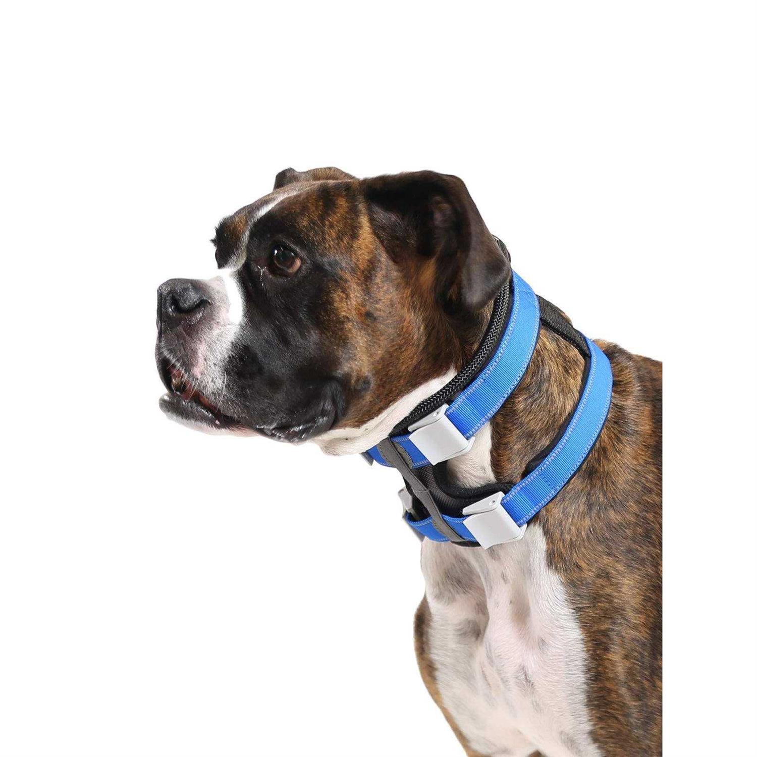 Cesar Millan Pack Leader Collar Training Collar of the Dog Whisperer - Healthber