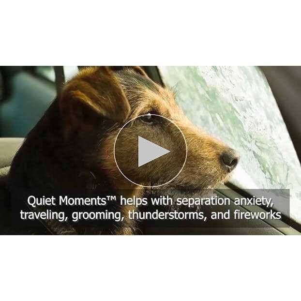 NaturVet Quiet Moments Calming Aid Plus Melatonin Soft Chews - Healthber