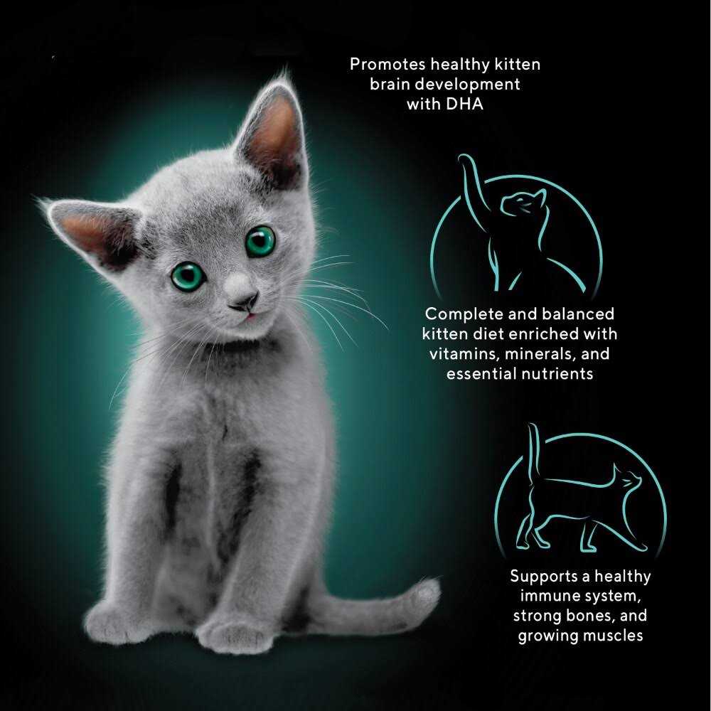Sheba Perfect Portions Kitten Premium Soft Pate Wet Food Variety Pack - Healthber