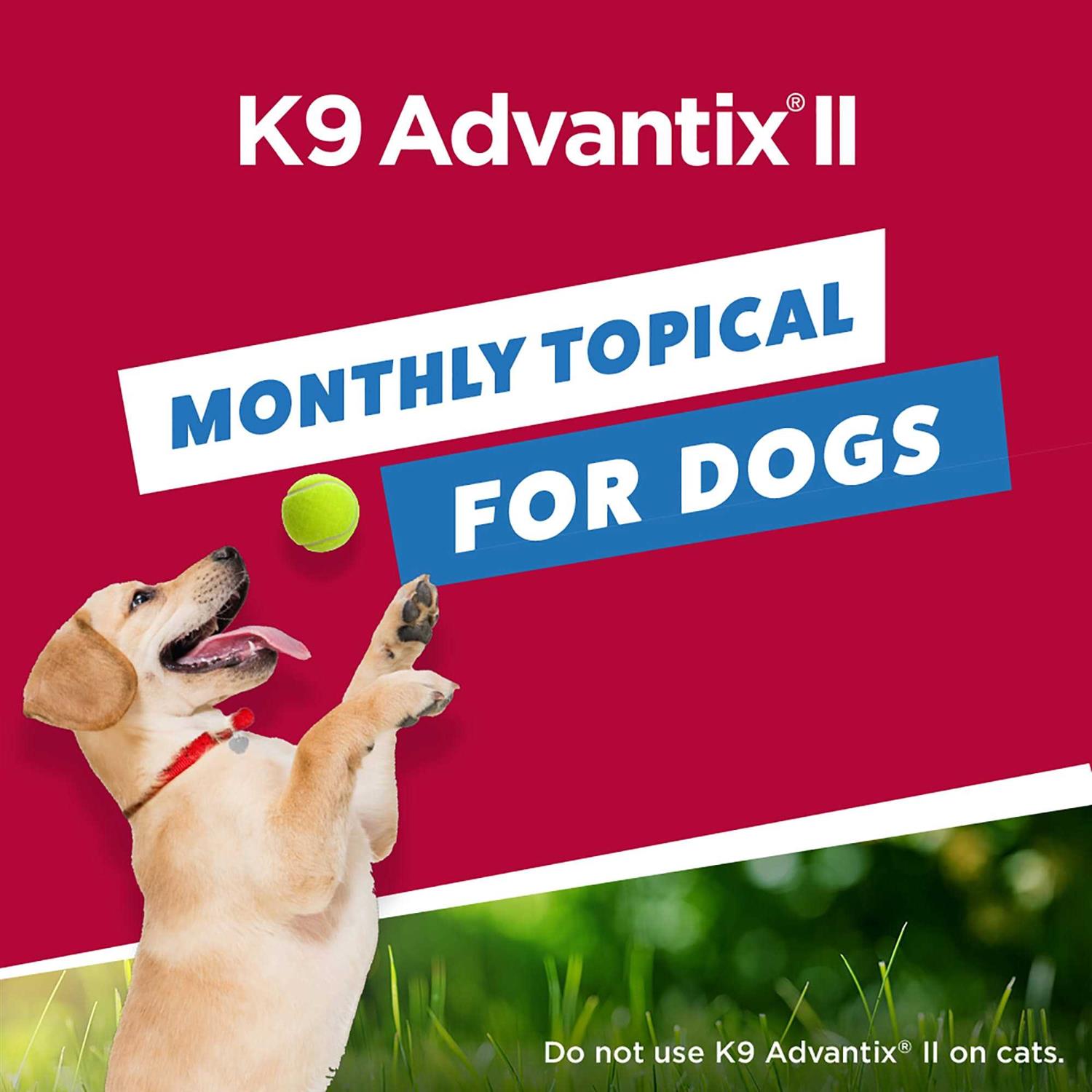 Bayer K9 Advantix II for Extra Large Dogs - Healthber