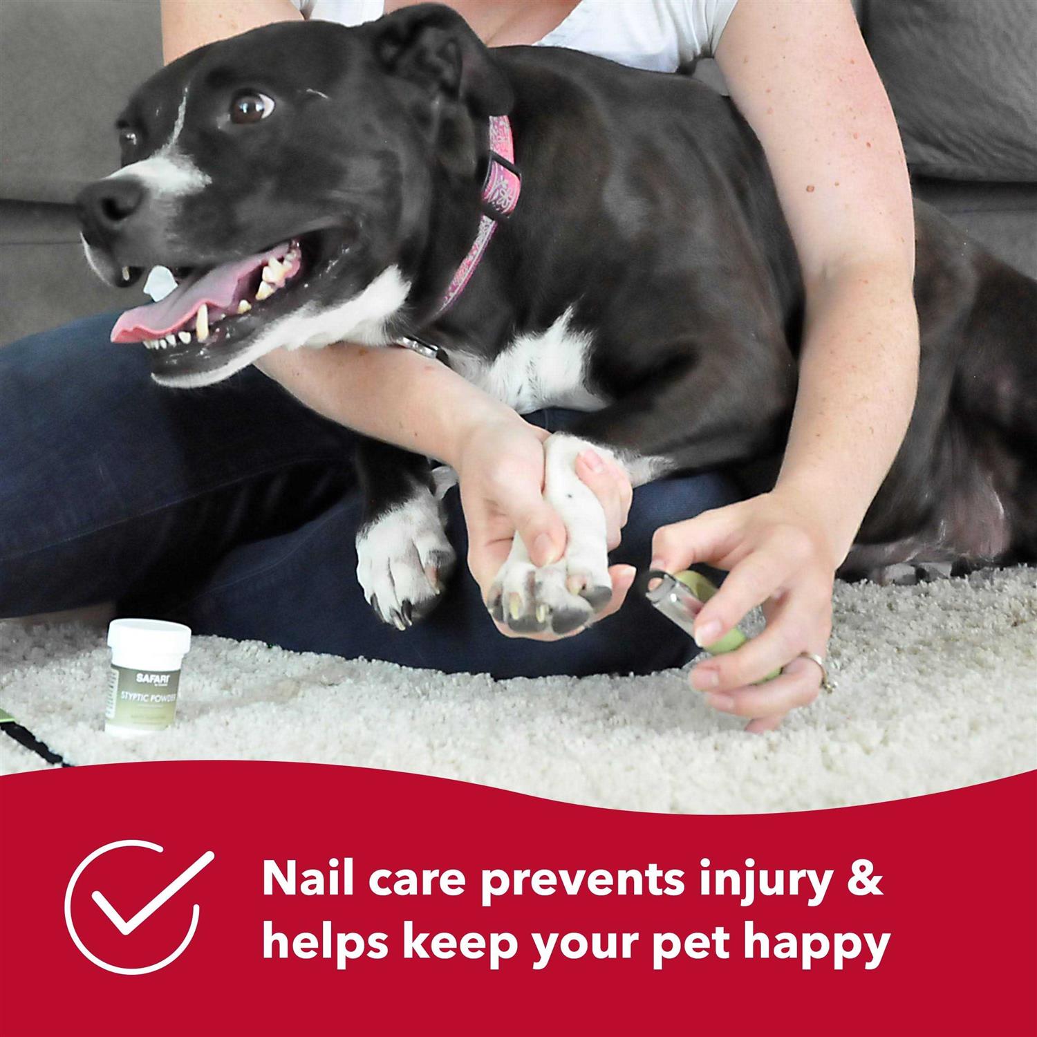 Safari Dog Guillotine Nail Trimmer - Healthber