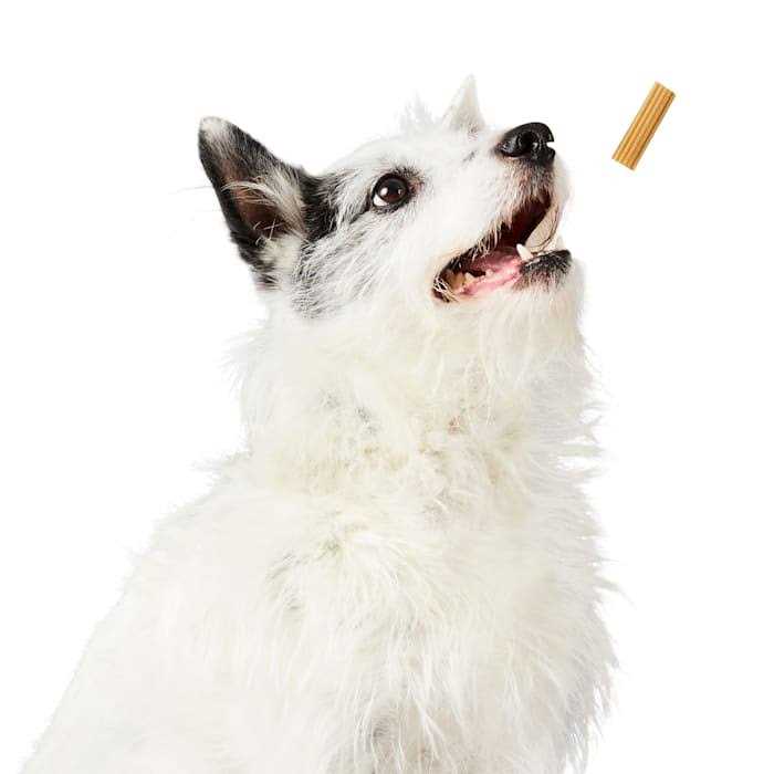 Project Hive Pet Company Chew Sticks Treats - Healthber