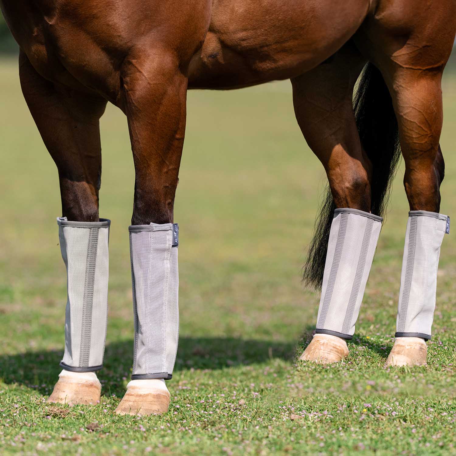 Professional's Choice Deluxe Breathable Mesh Horse Fly Boots, 4 pack - Healthber