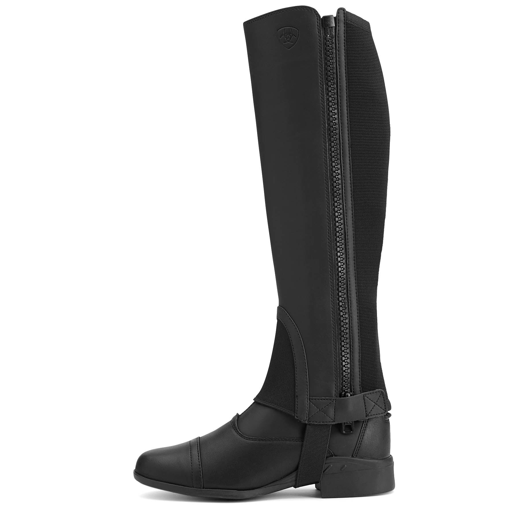 Ariat Scout Half Chap, Adult, Black - Healthber