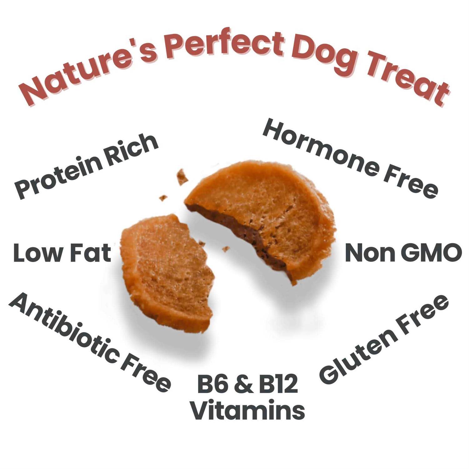 Farm to Pet Chicken Chips Dog Treats - Healthber