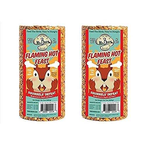 Mr. Bird Flaming Hot Feast Small Cylinder - Healthber
