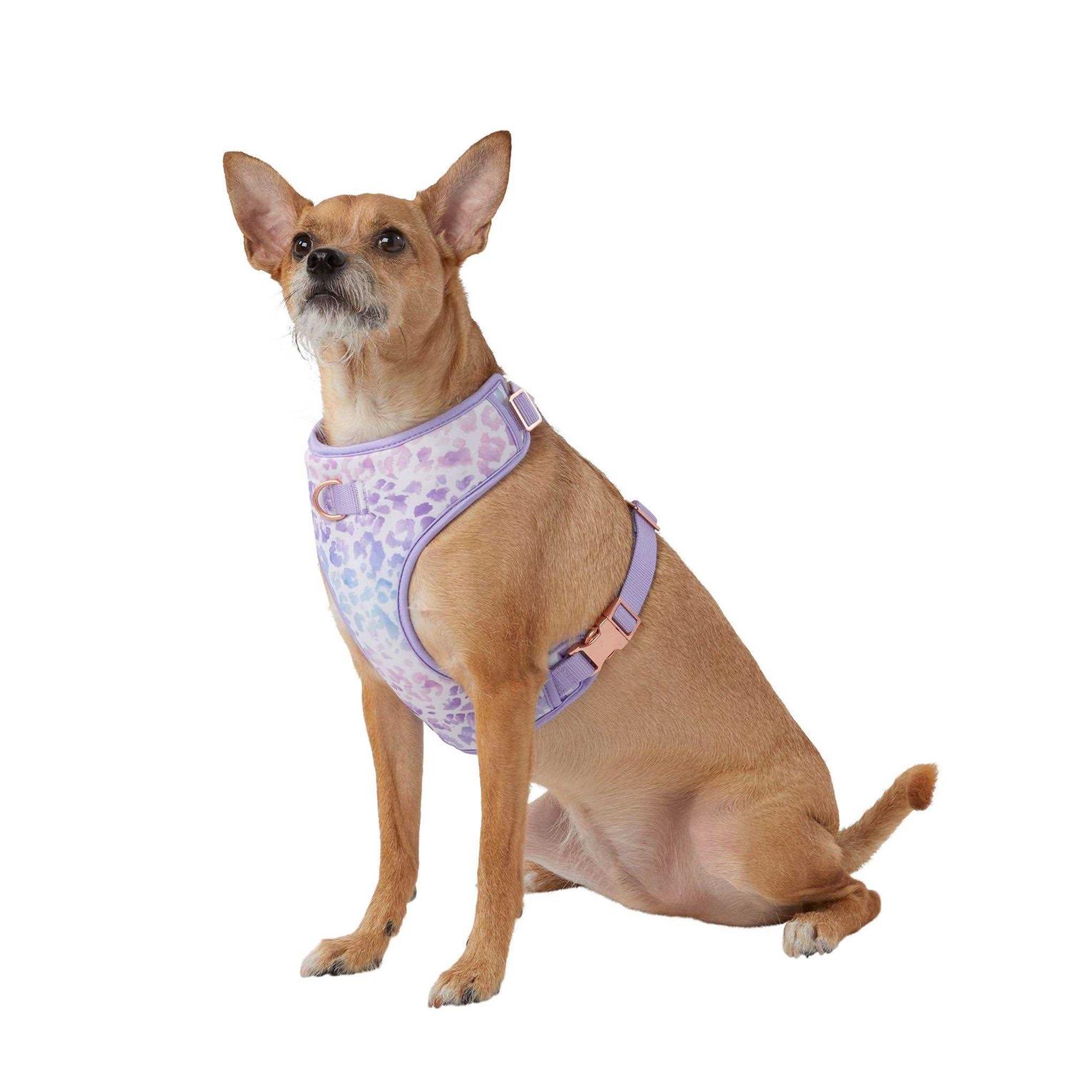 Top Paw Dog Harness - Healthber
