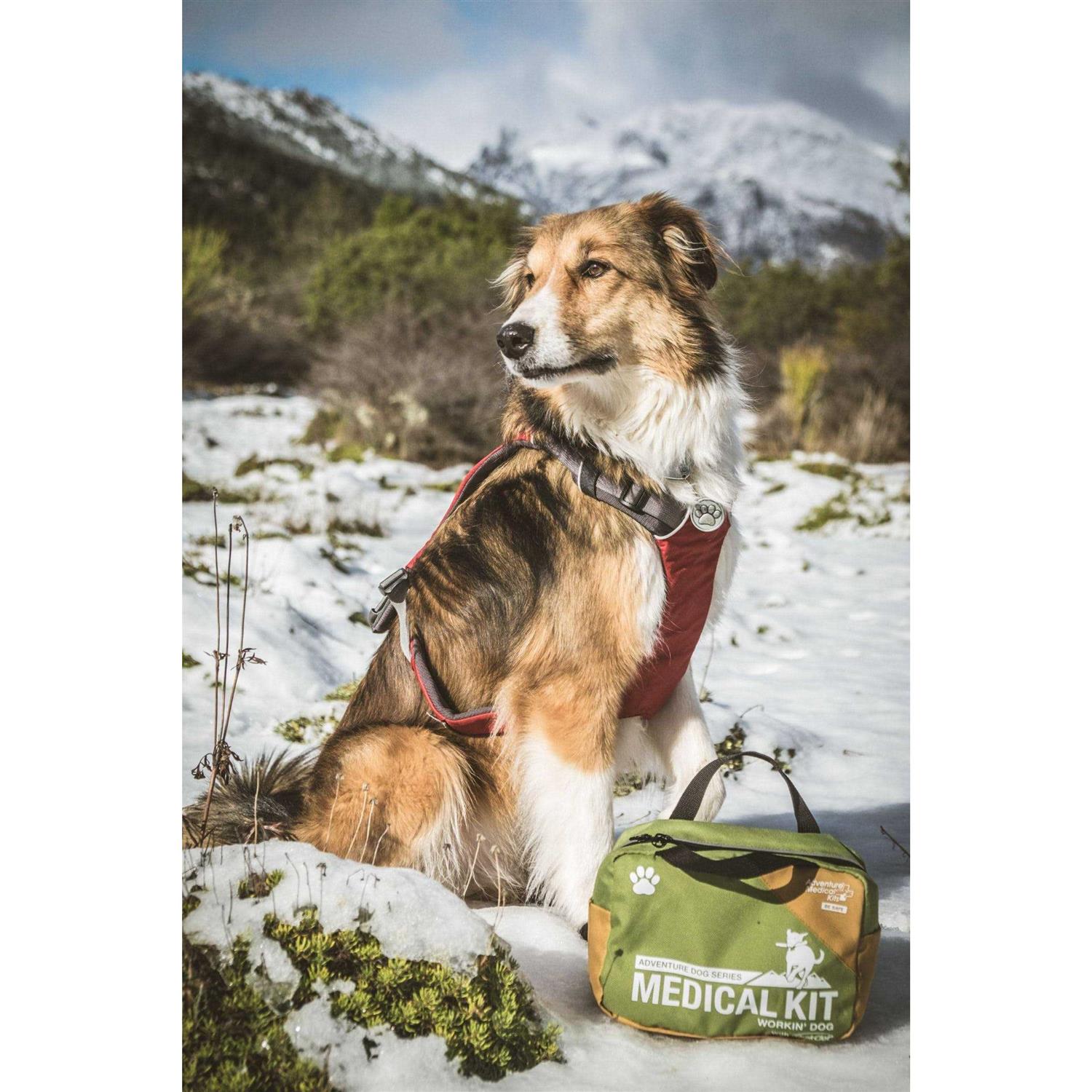 Adventure Medical Dog Series Workin Dog First Aid Kit - Healthber