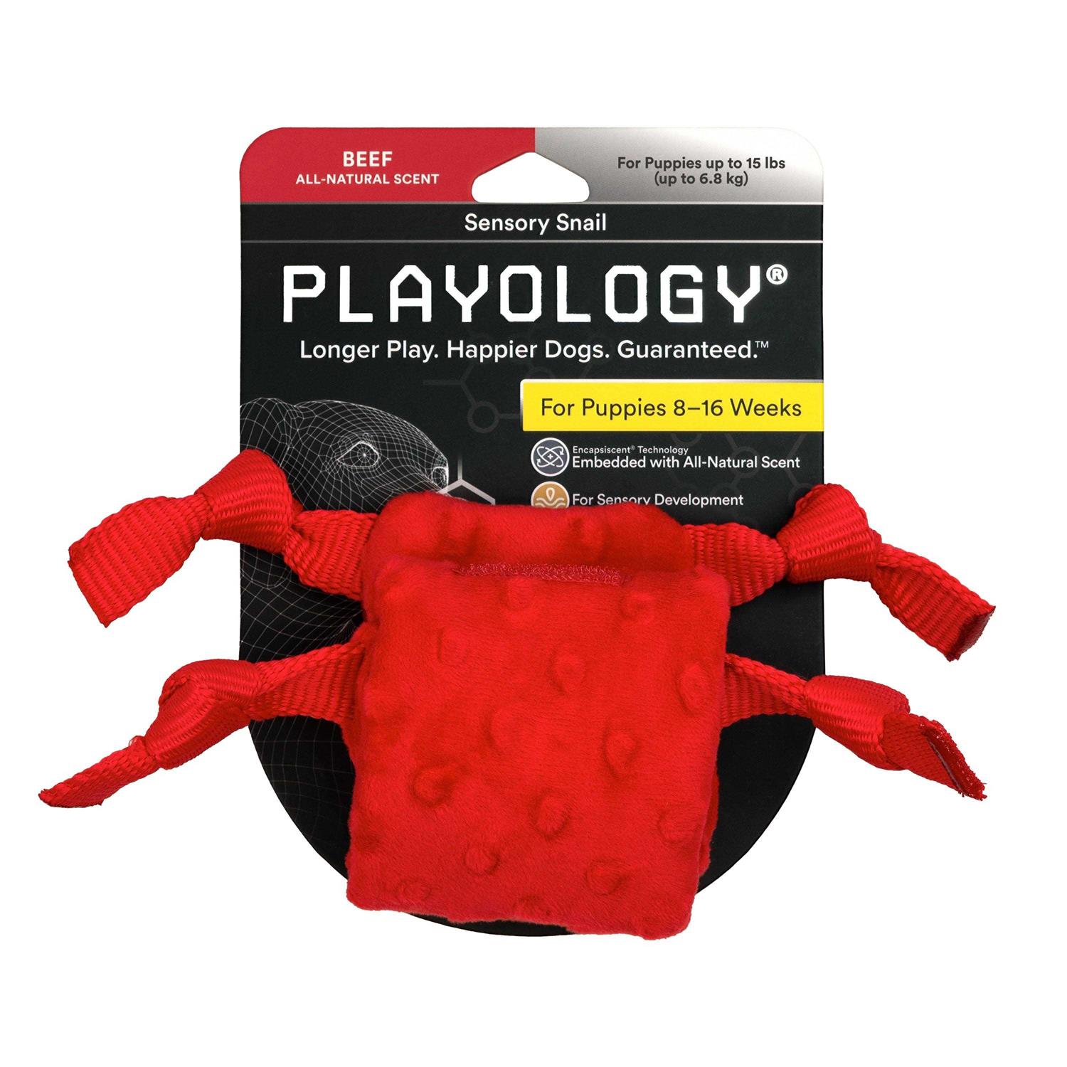 Playology Puppy Sensory Snail Dog Toy - Healthber