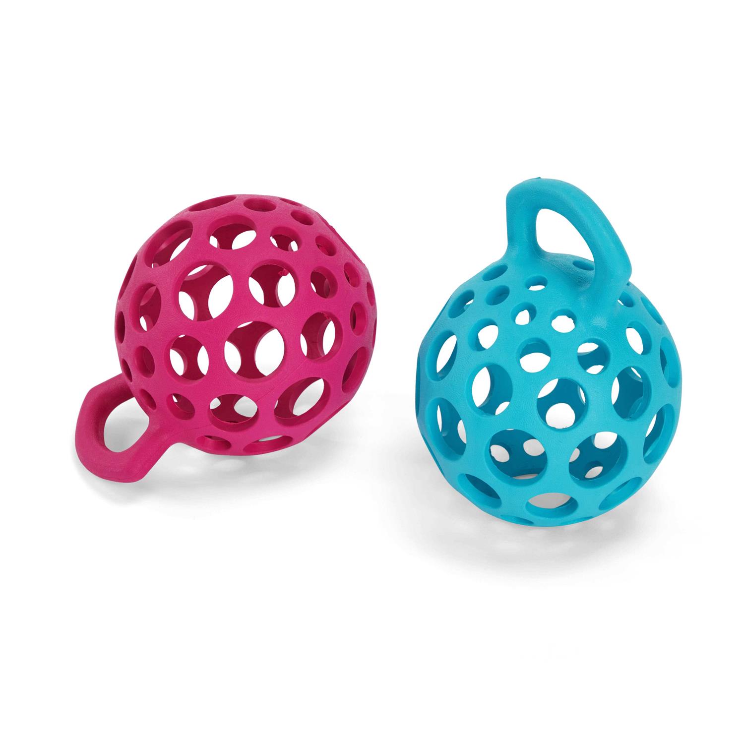 Leaps & Bounds Cage Ball with Handle Dog Toy - Healthber