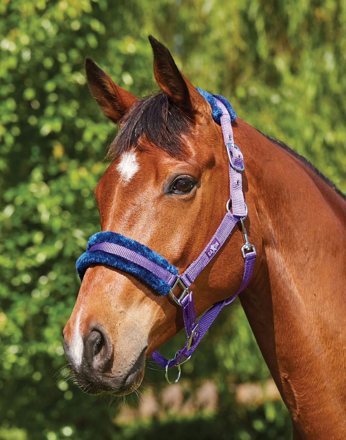 Weatherbeeta Saxon Element Fleece Halter, Full Size - Healthber
