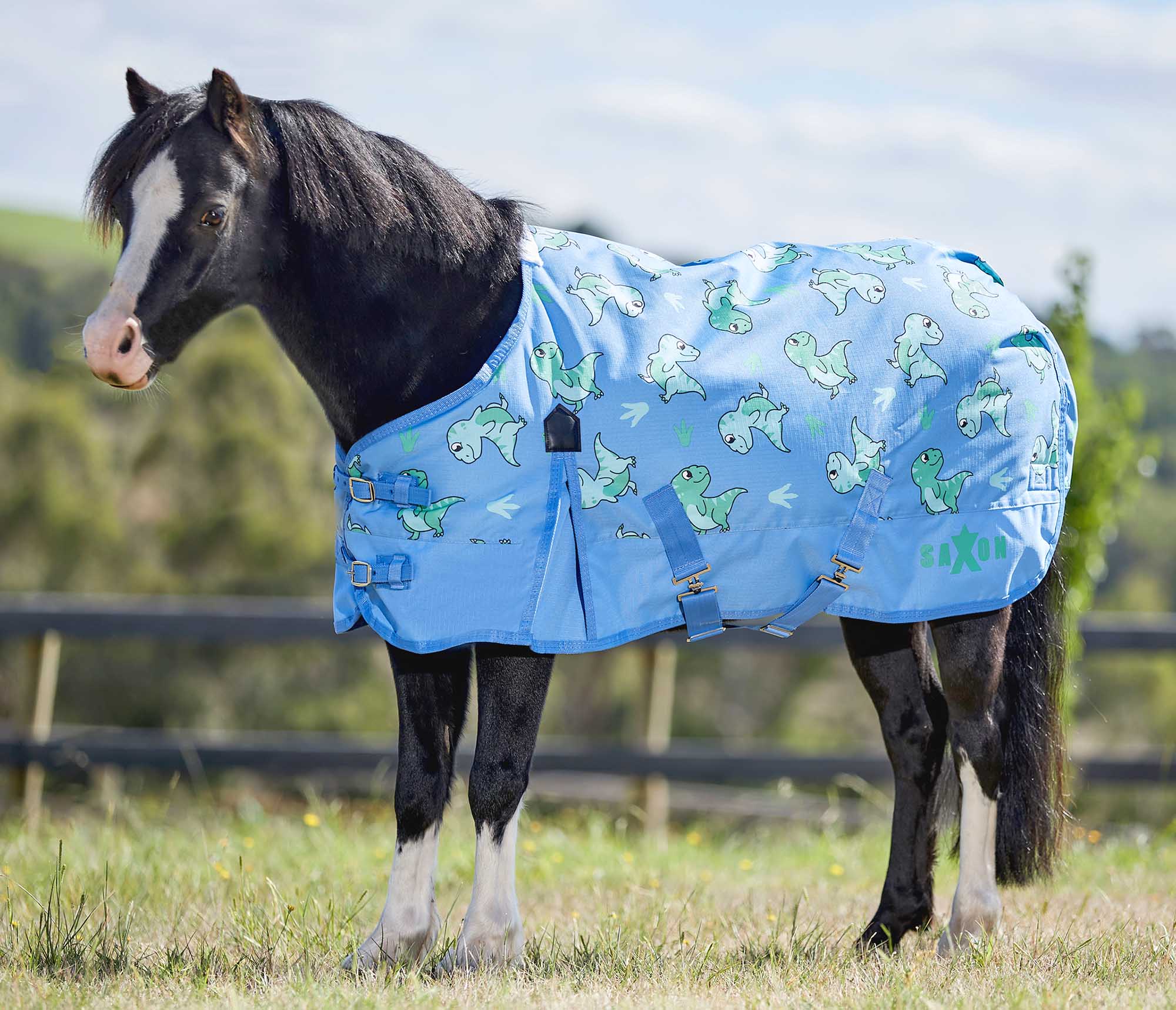 Saxon Pony 600 Denier Standard Neck Turnout Sheet - Healthber