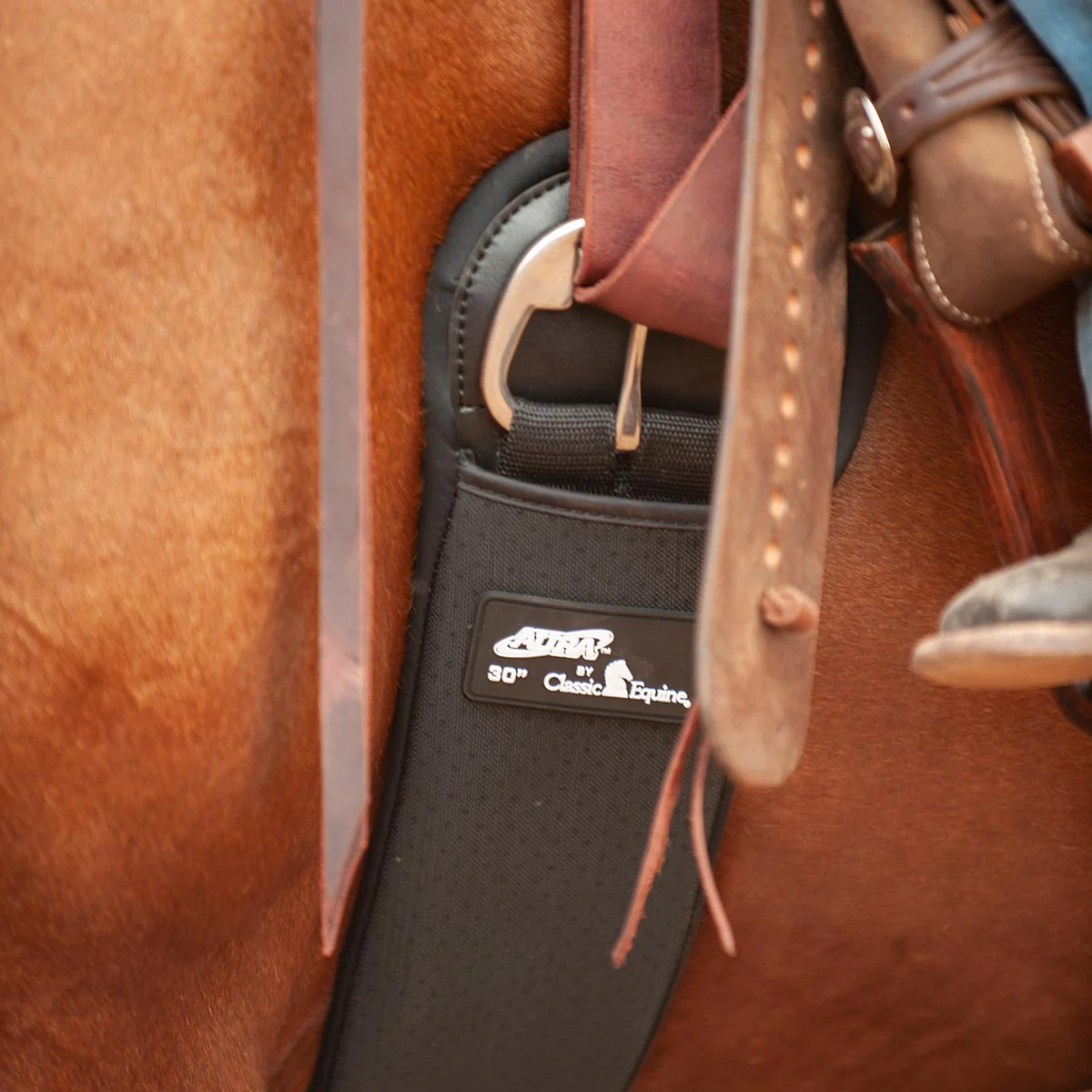 Classic Equine Aura Neoprene Straight Cinch with Stainless Steel Hardware - Healthber