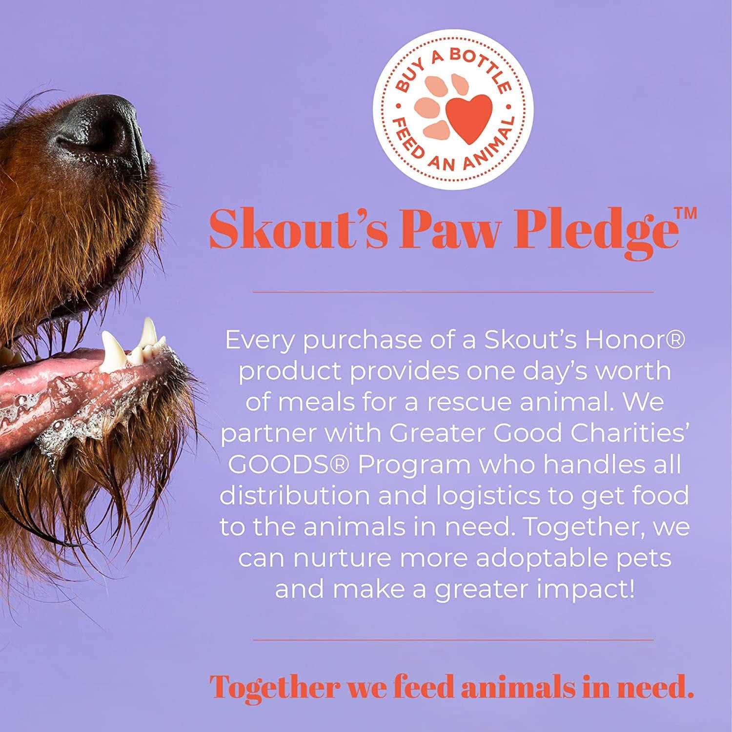 Skout’s Honor Probiotic Ear Cleaner - Healthber