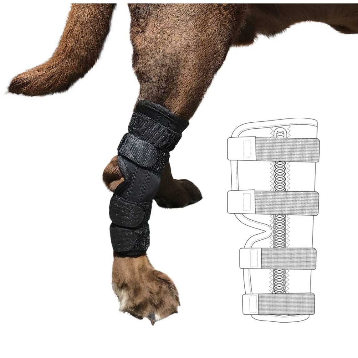 Labra Supportive Dog Rear Leg Hock Joint Wrap Brace with Metal Springs Protects Canine Wounds as They Heal Compression Brace Heals and Prevents - Healthber