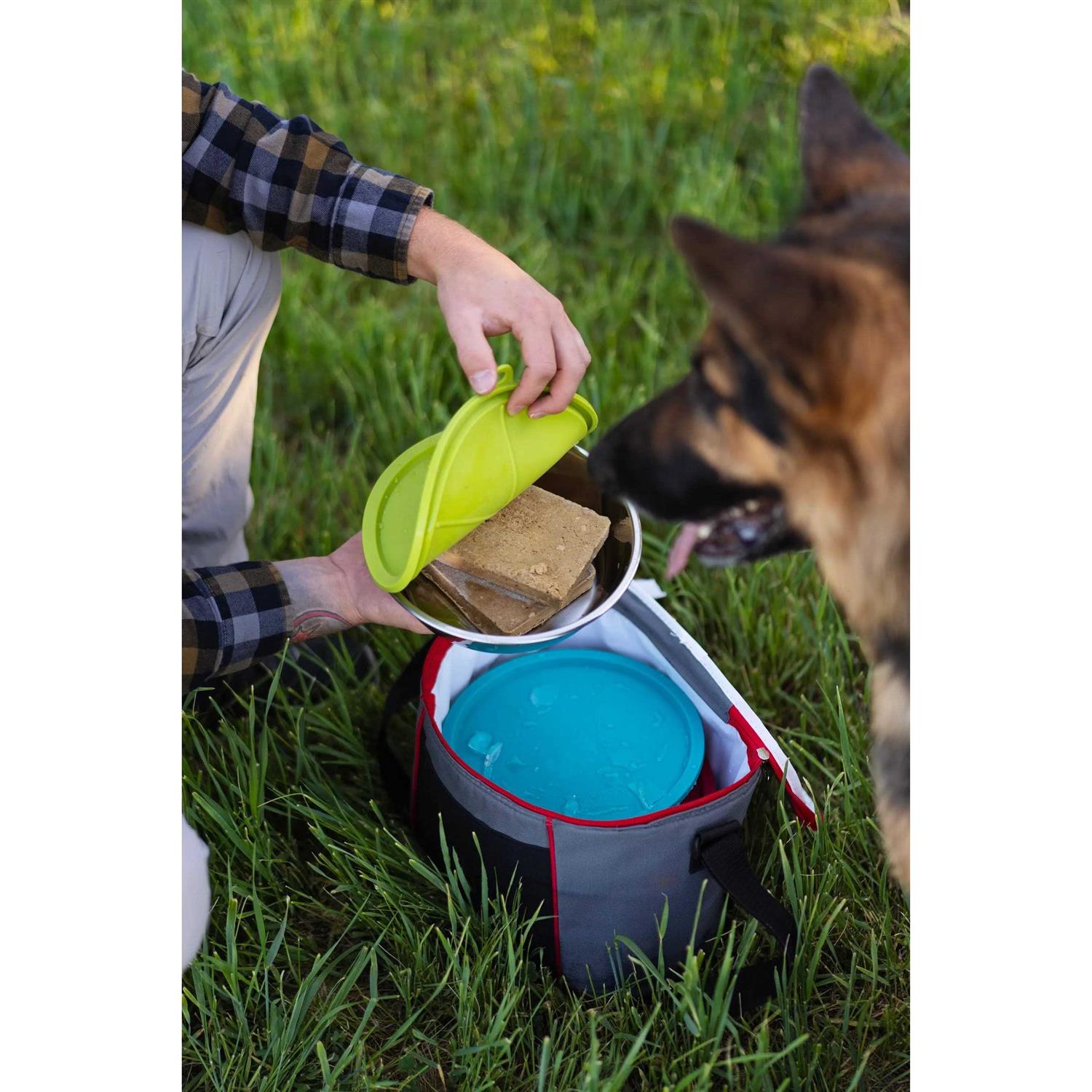 Messy Mutts Bowl & Lid Set - Healthber