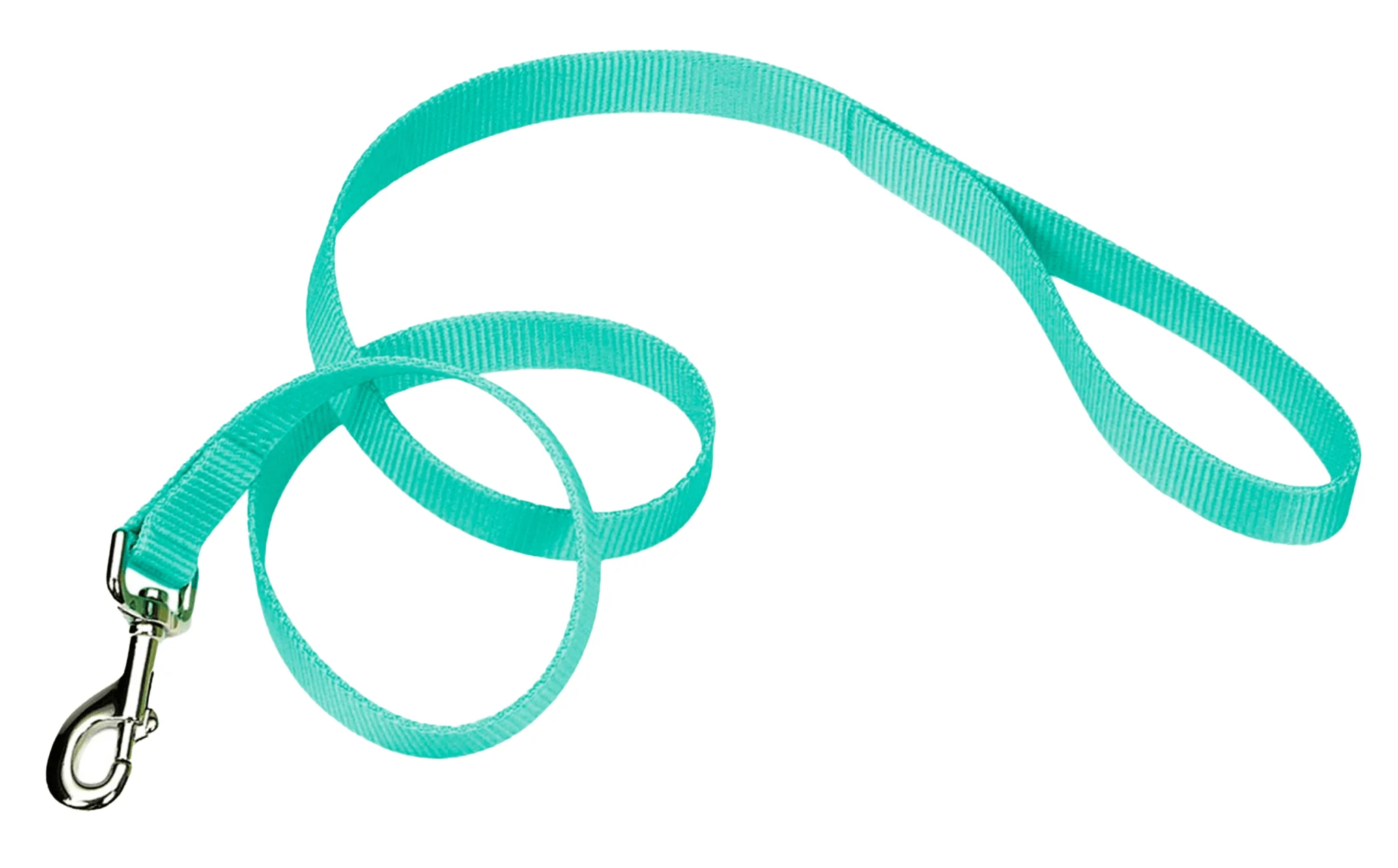 Coastal Single-Ply Dog Leash - Healthber