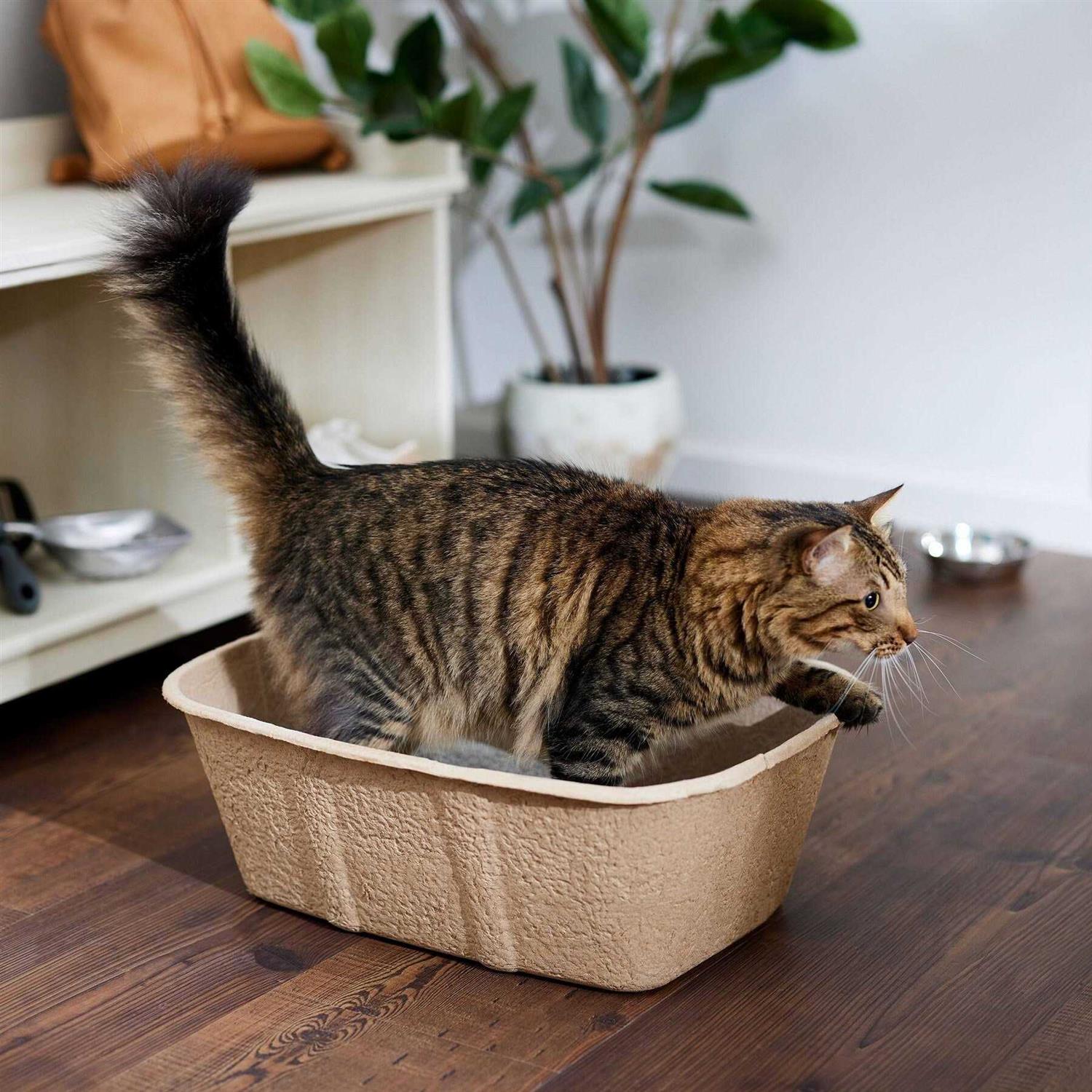 Frisco High-Sided Disposable Cat Litter Box - Healthber