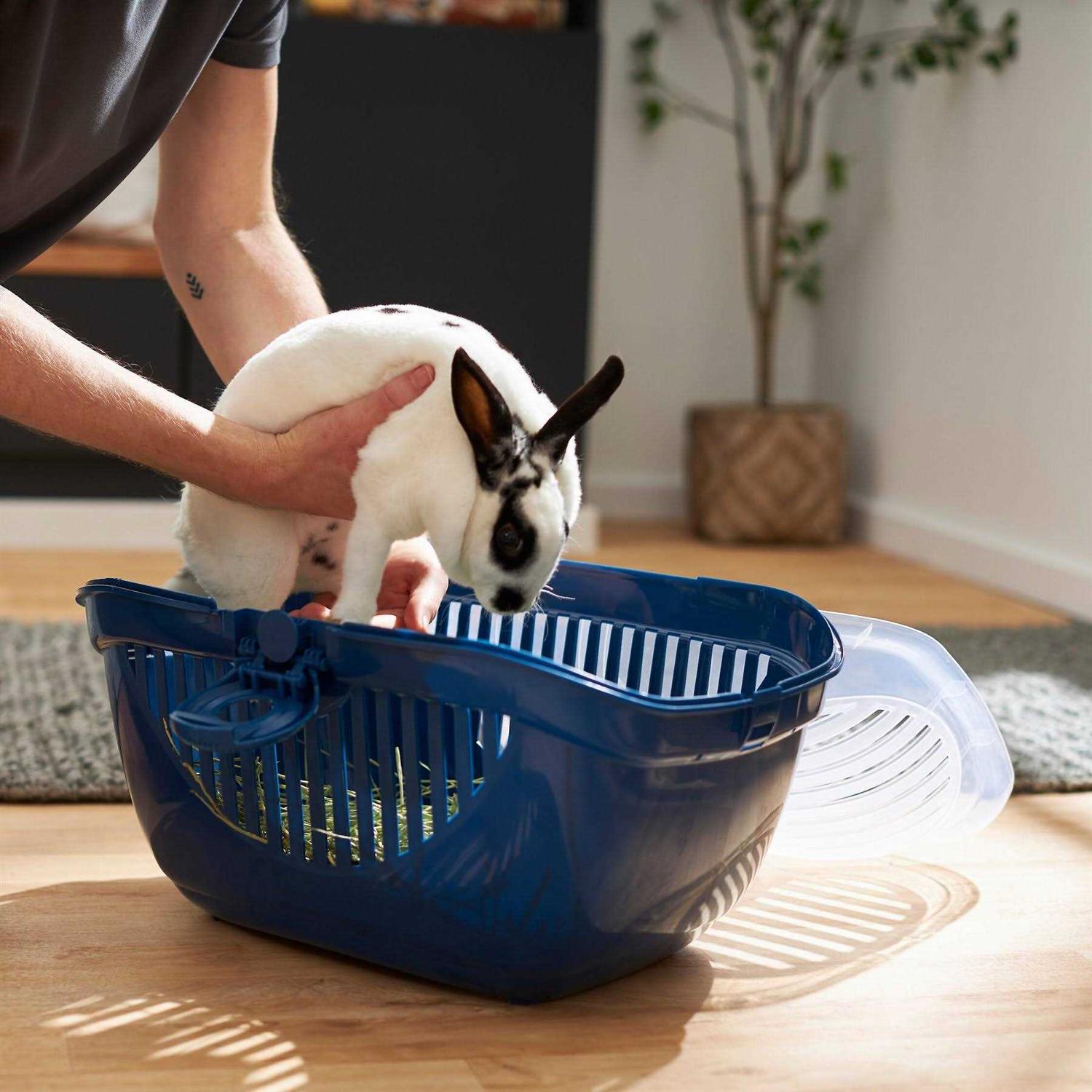 Frisco Top Loading Small Pet Carrier - Healthber