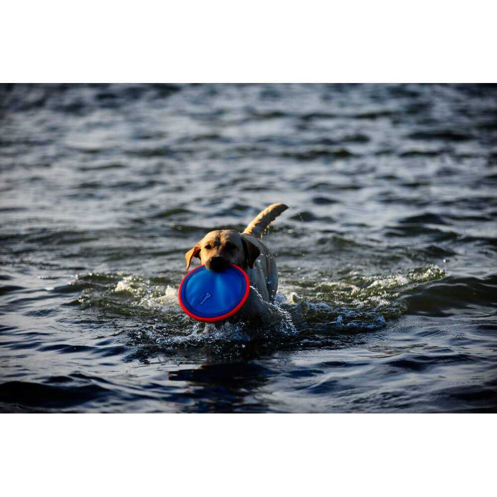 Chuckit! Dog Toy Paraflight - Healthber