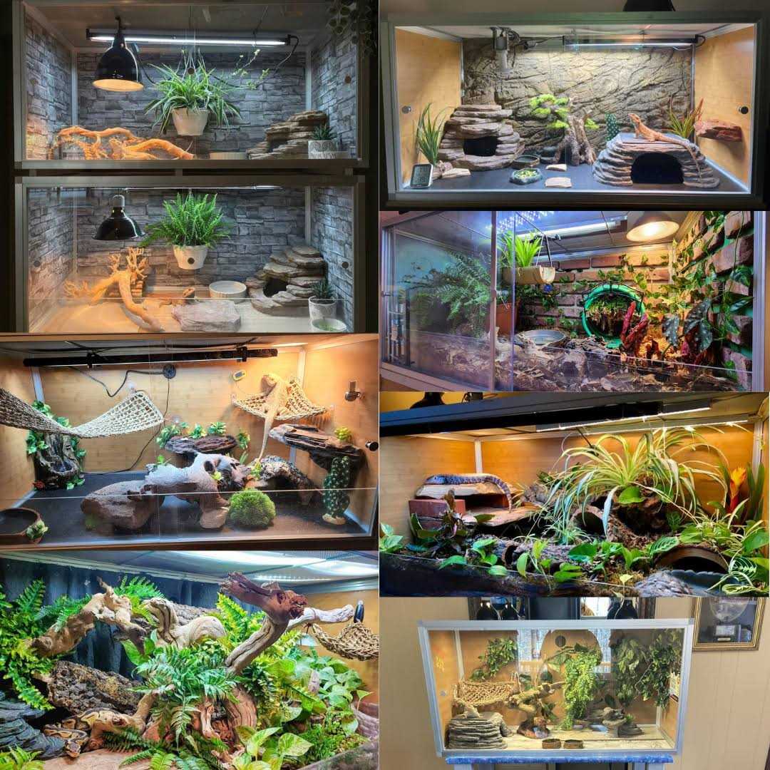 Zen Habitats 4’x2’x2′ Original PVC Reptile Enclosure - Healthber