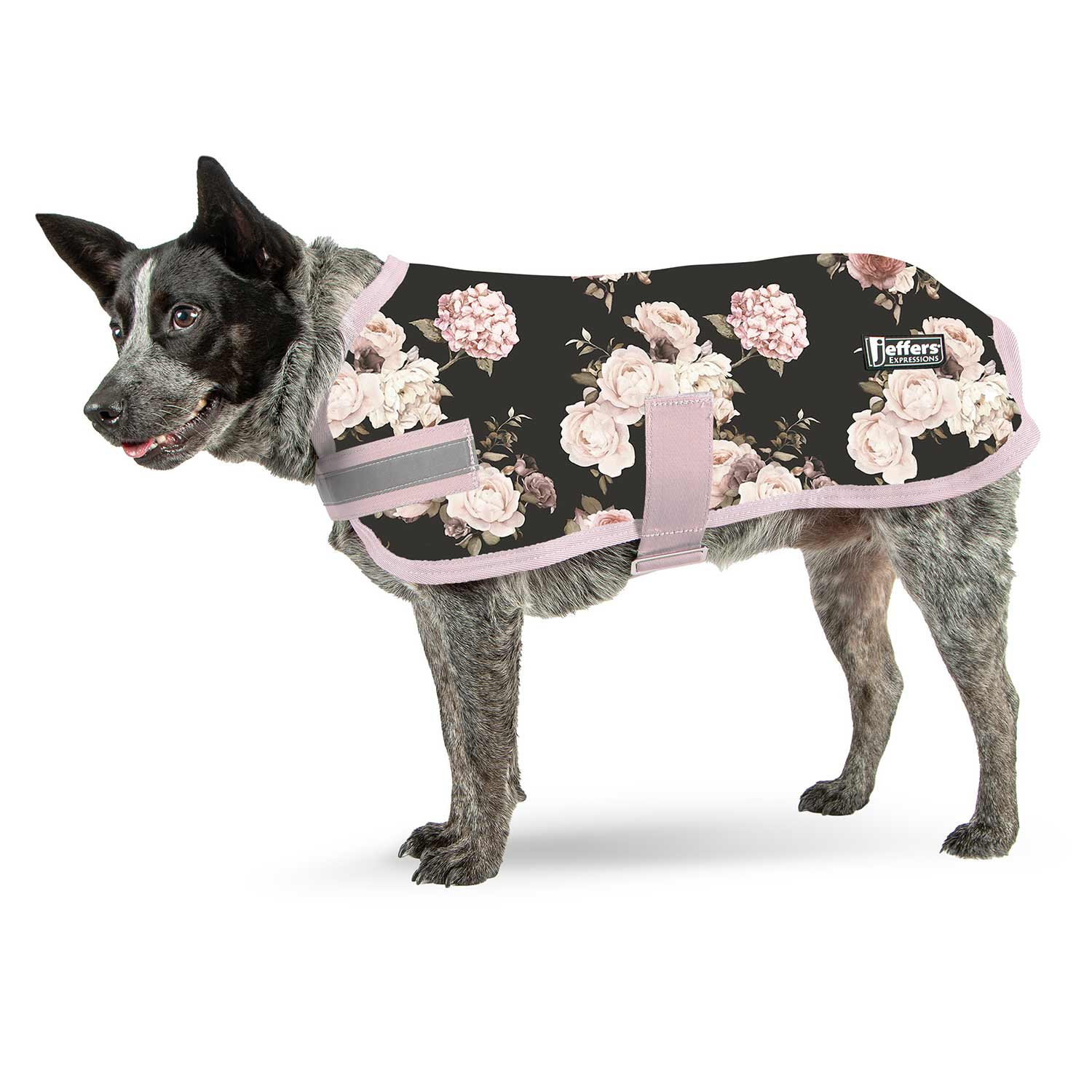 Expression Waterproof Ripstop Dog Coat, Rose Garden - Healthber