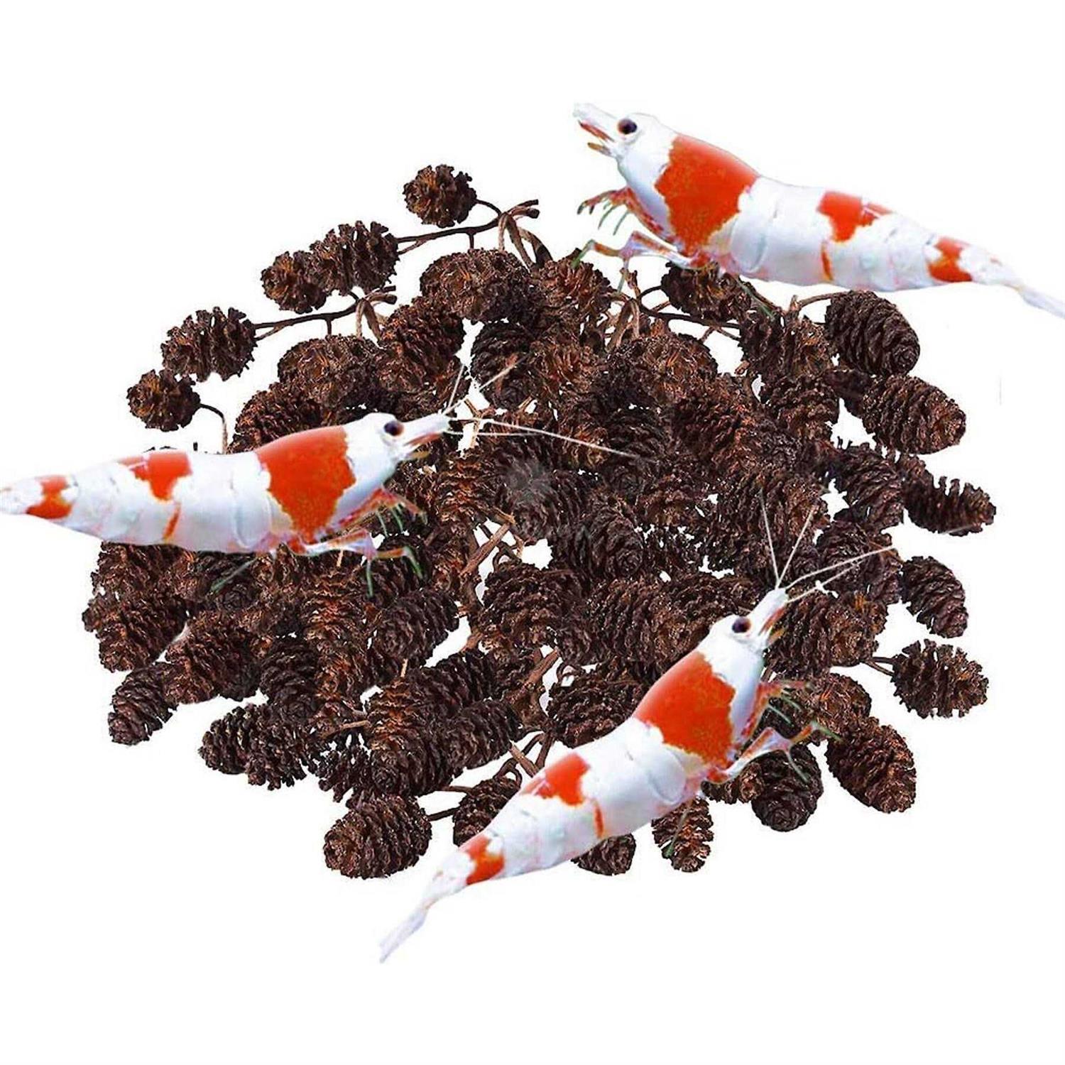 SunGrow Shrimp Breeding Aquarium Tank Water Conditioner & Food Alder Cones - Healthber