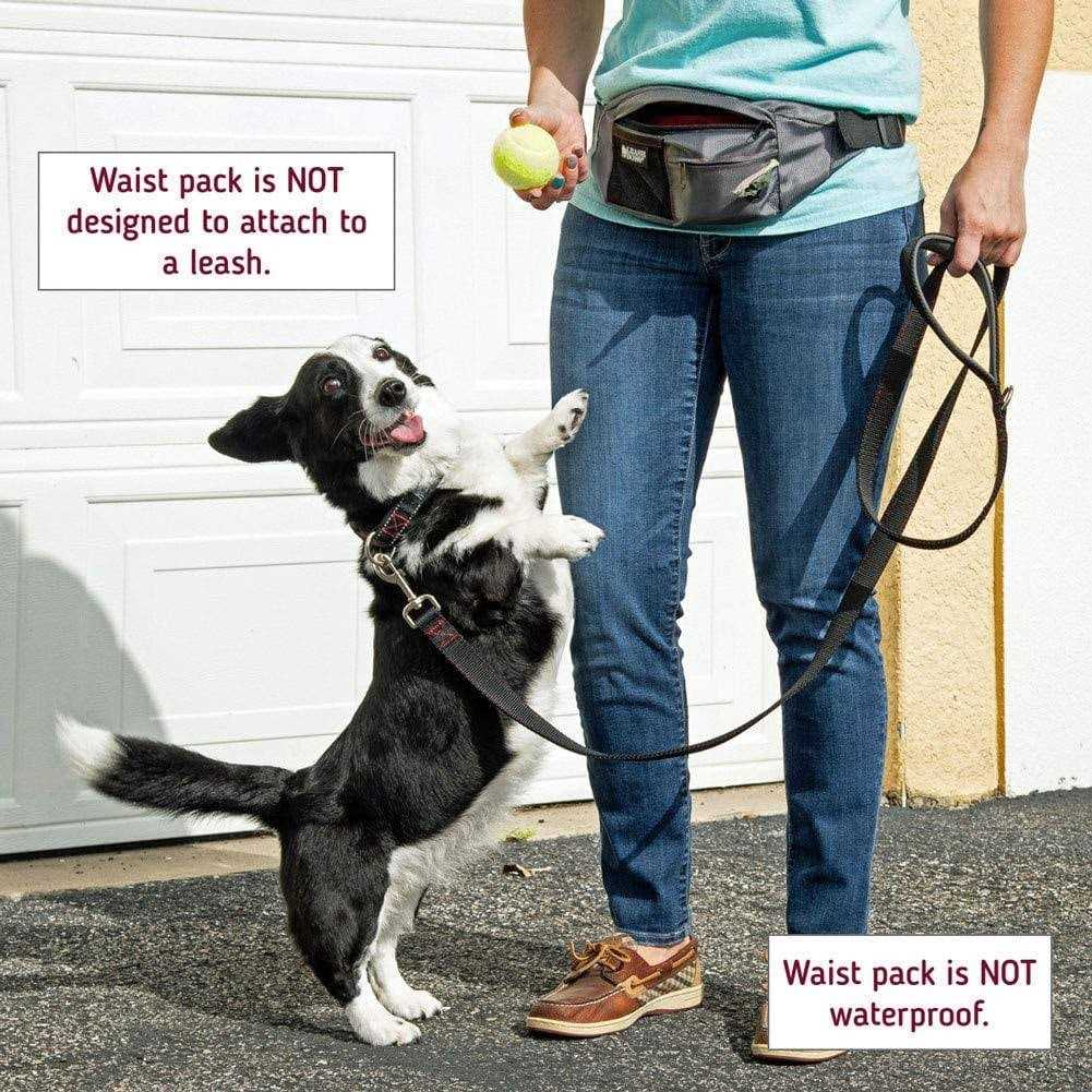 Leashboss PackUp Pouch Dog Treat Training Pouch with Waste Bag Dispenser - Healthber