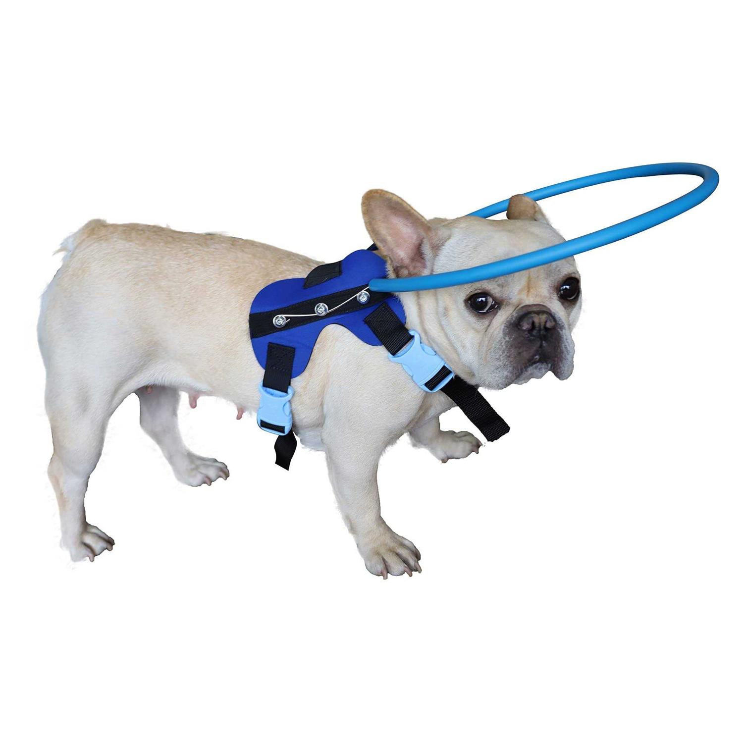 HQSLC Blind Dog Harness Guiding Device,Blind Dog Halo,Pet Anti-Collision Ring for Protective&Build Confidence,Blind Dog Accessories - Healthber