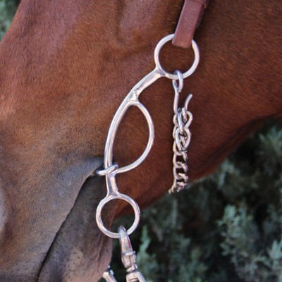 Professional's Choice Futurity Bit, 5.75
