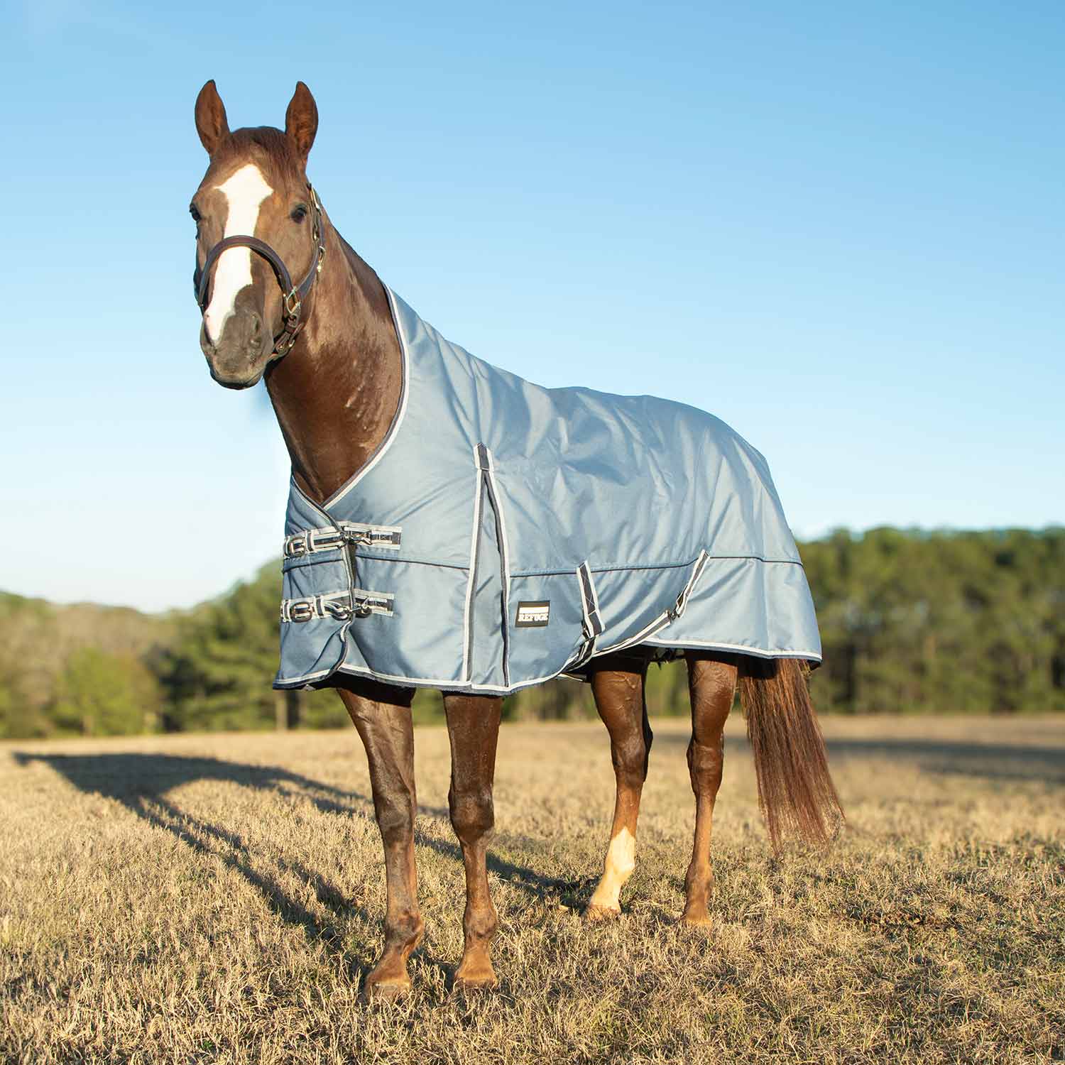 Poplar Head Refuge 1200 Denier Turnout Blanket with High Neck, 240 Gram, Hamilton Blue - Healthber