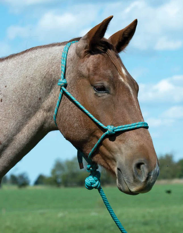 Weaver Leather Diamond Braid Rope Halter with Lead - Healthber