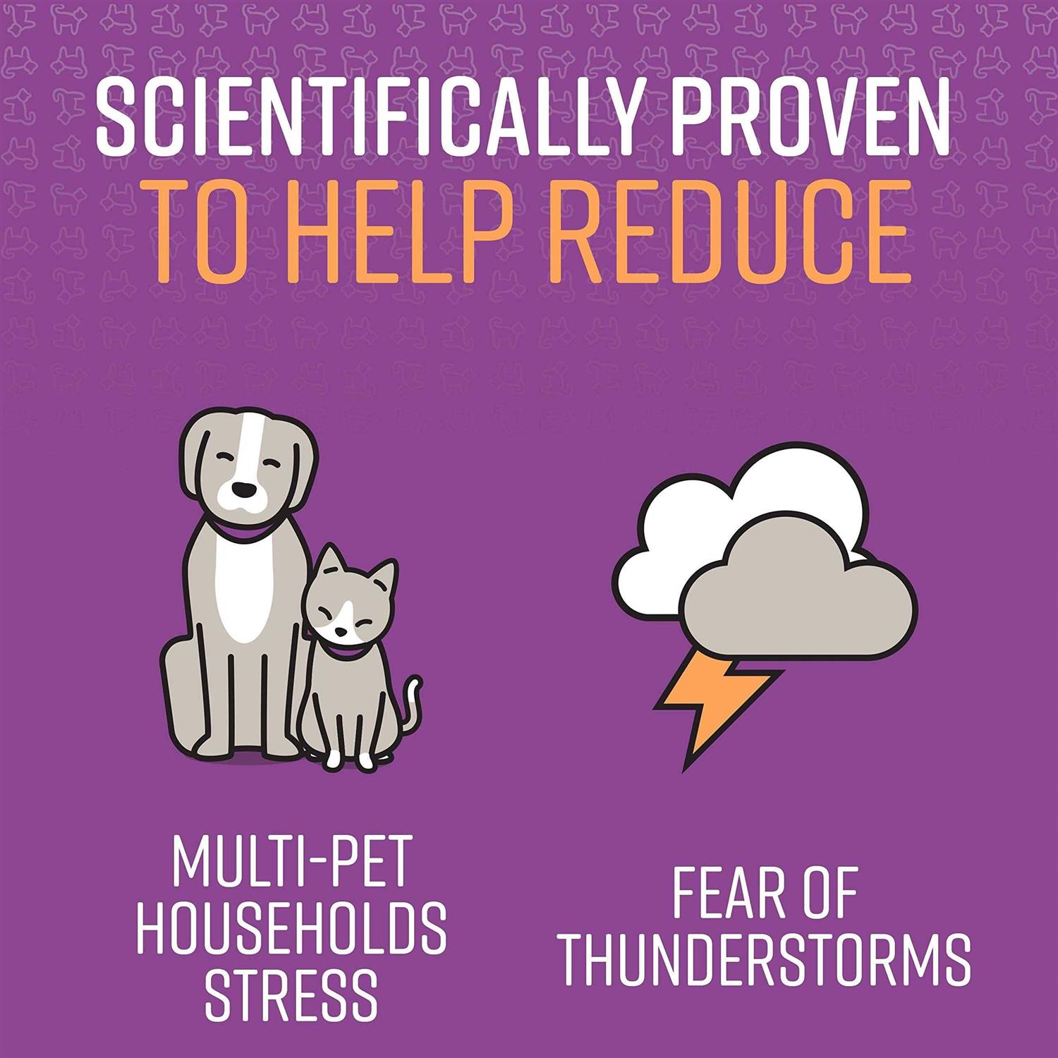 Sentry Calming Spray for Cats - Healthber
