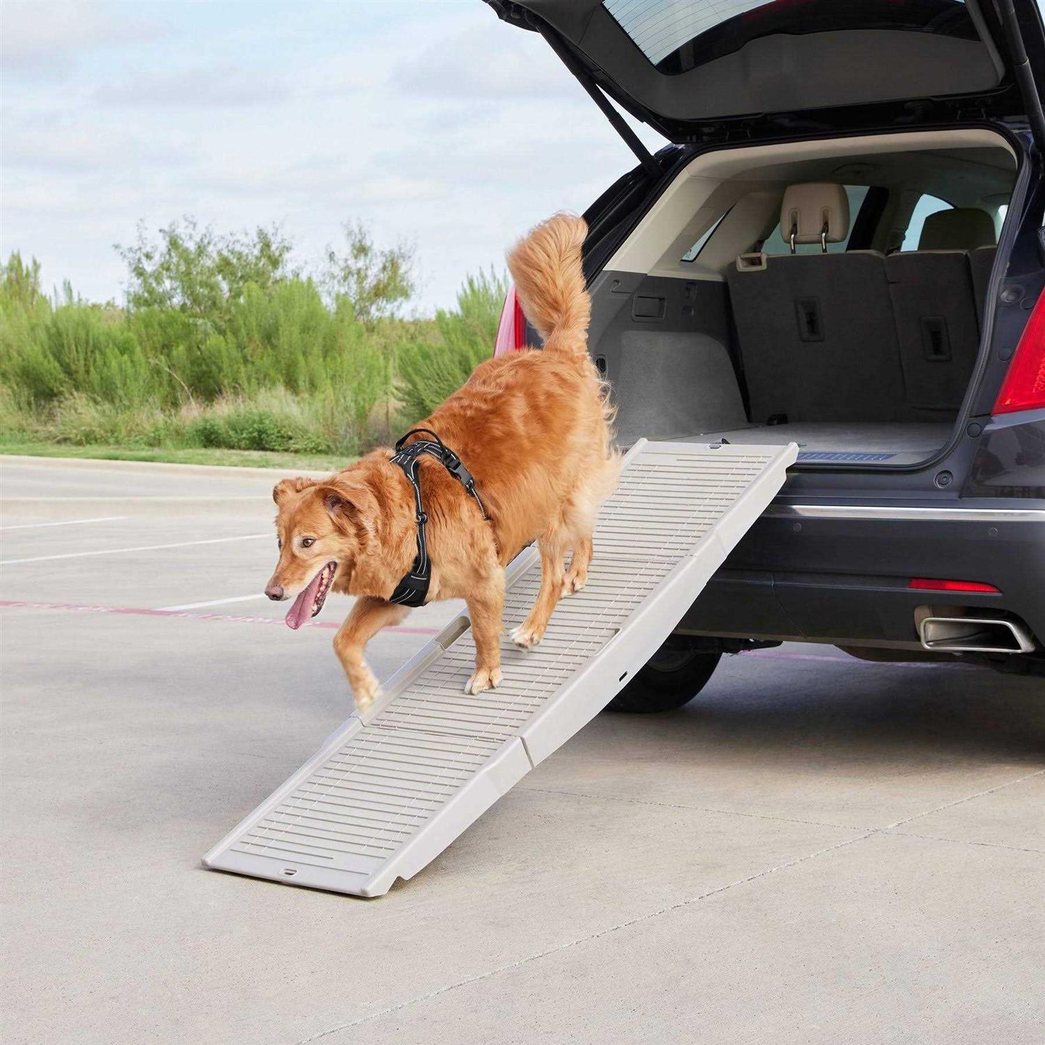 Frisco Tri-Fold Travel Dog Car Ramp - Healthber