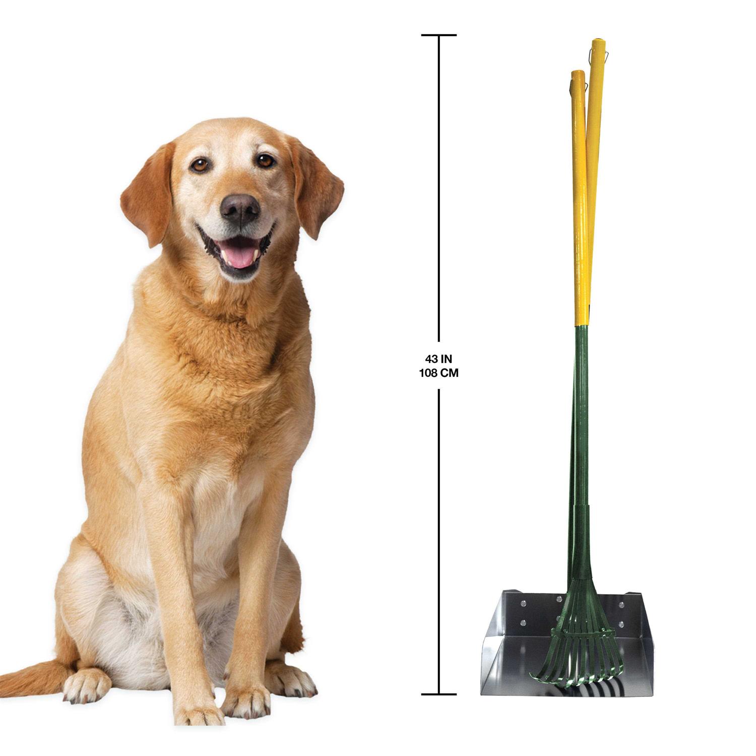 Four Paws Rake Set - Healthber