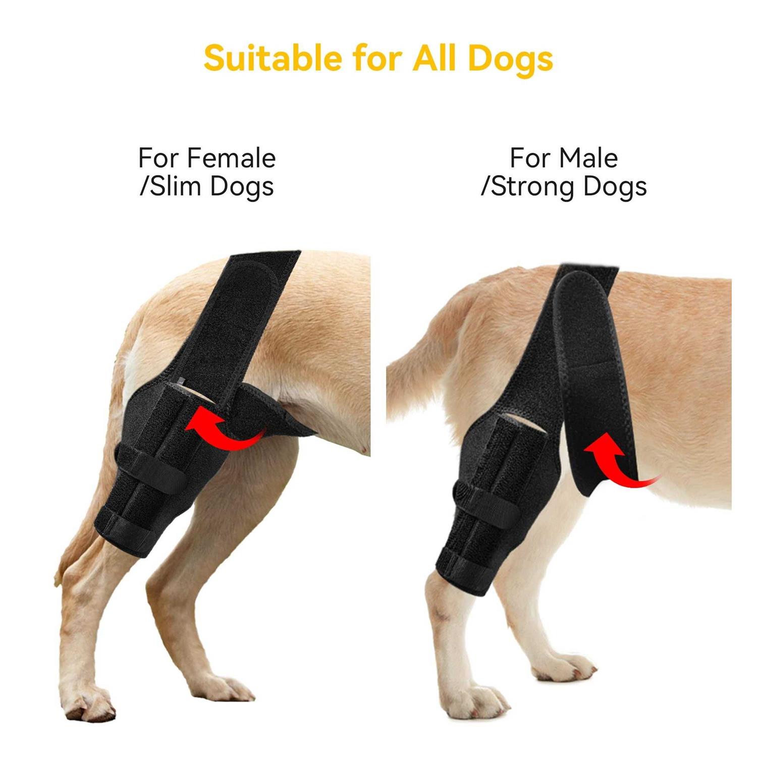 soundfuse Dog Knee Brace, Leg Brace for ACL with Cruciate Ligament Injury, Joint Pain and Muscle Sore - Healthber