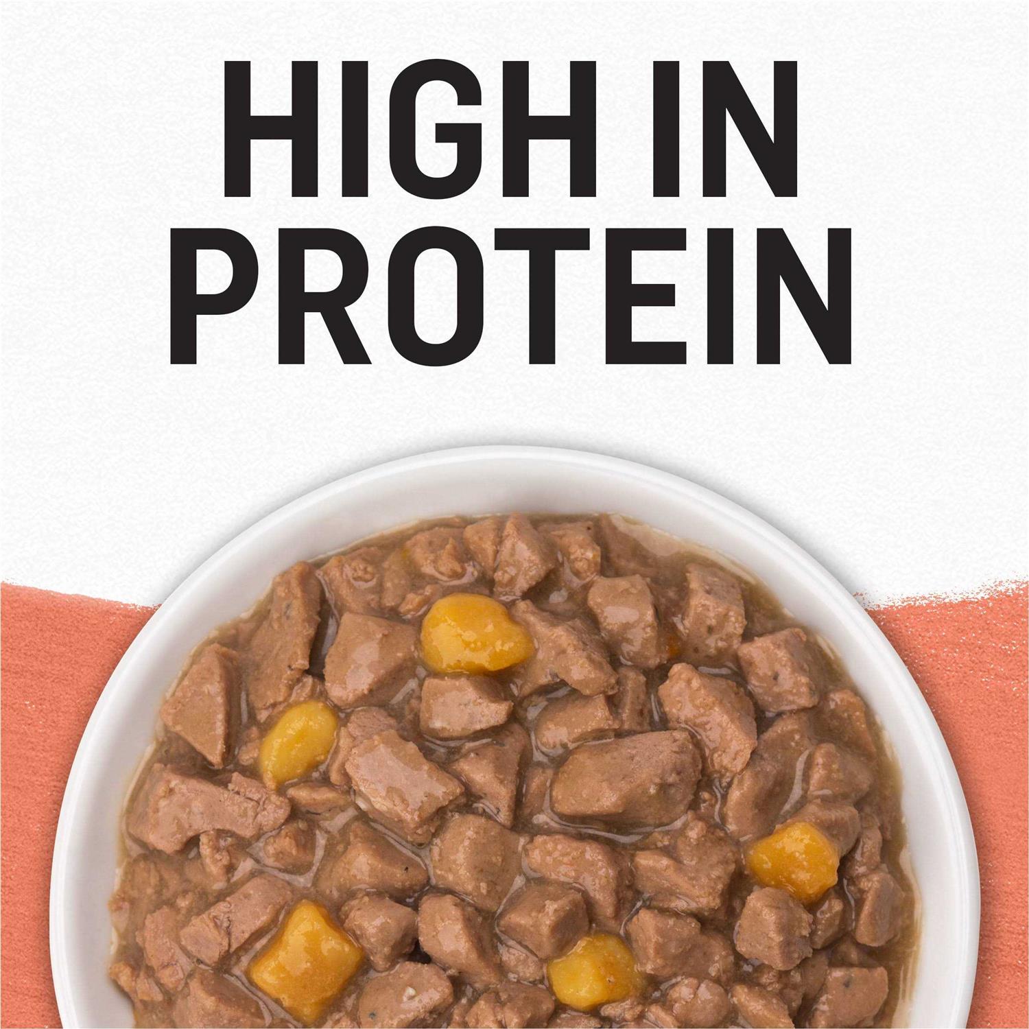 Purina Beyond Grain Free Salmon & Sweet Potato Recipe in Gravy Cat Food - Healthber