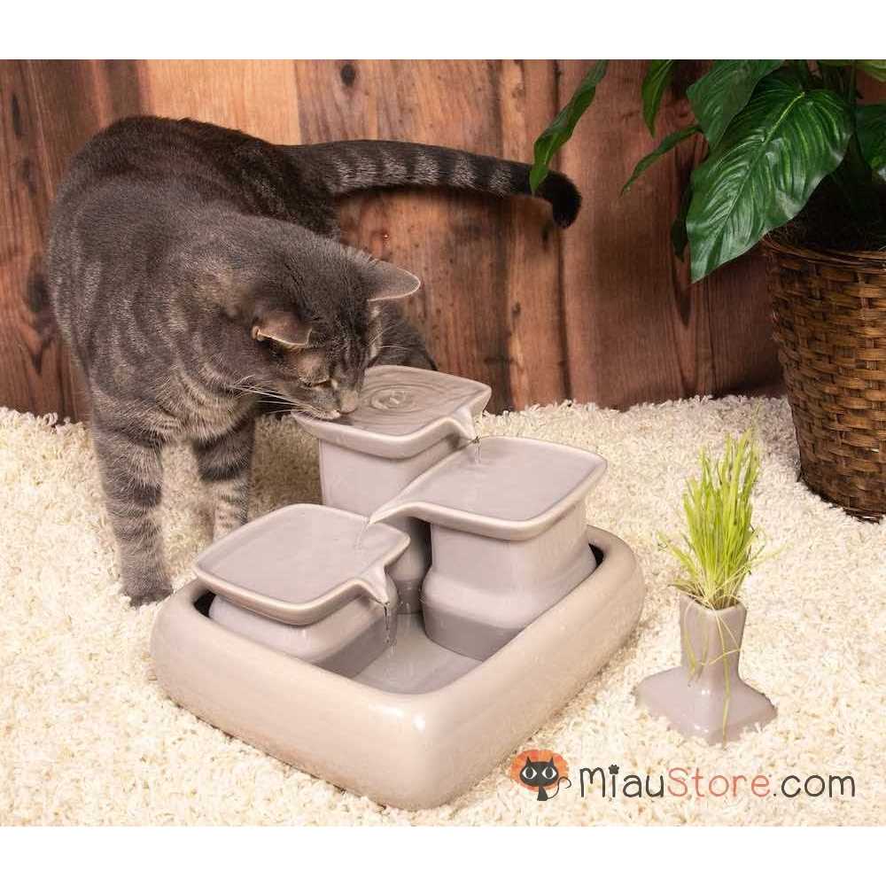 Miaustore Ceramic Cat Water Fountain - Healthber