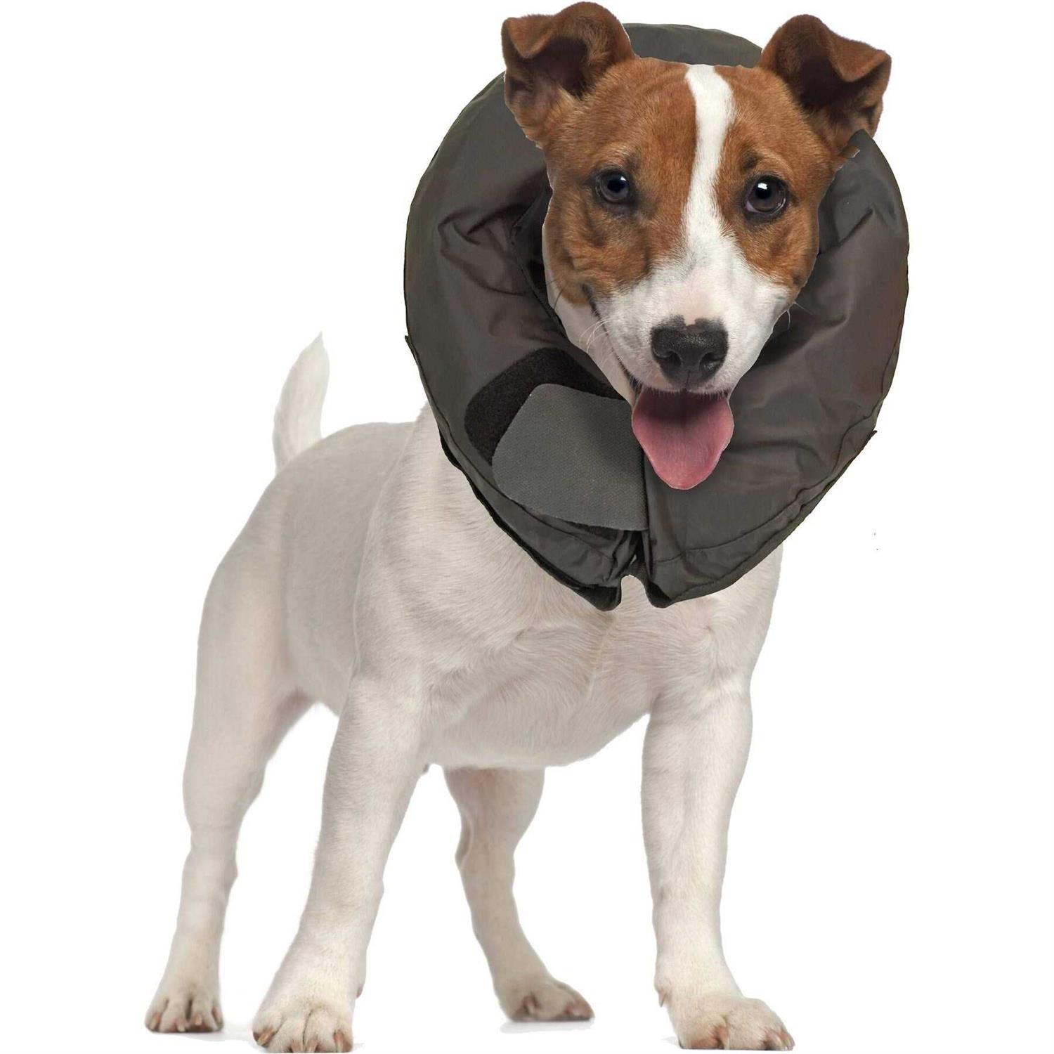 Vet Worthy Inflatable Protective Dog Collar - Healthber