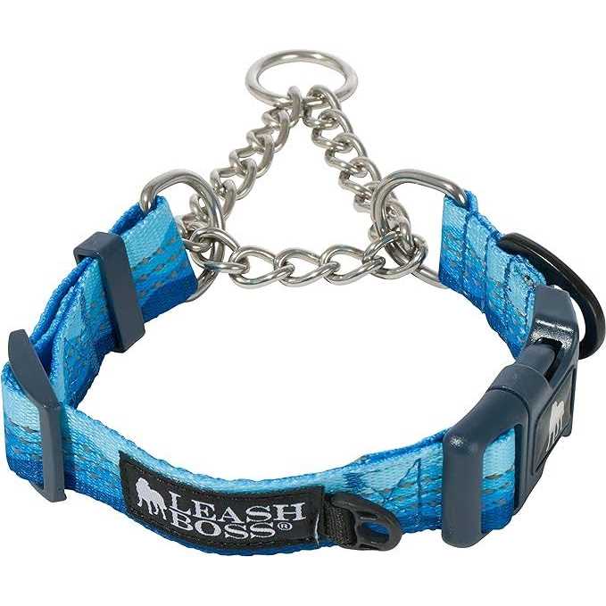Leashboss Patterned Reflective Chain Martingale Dog collar - Healthber