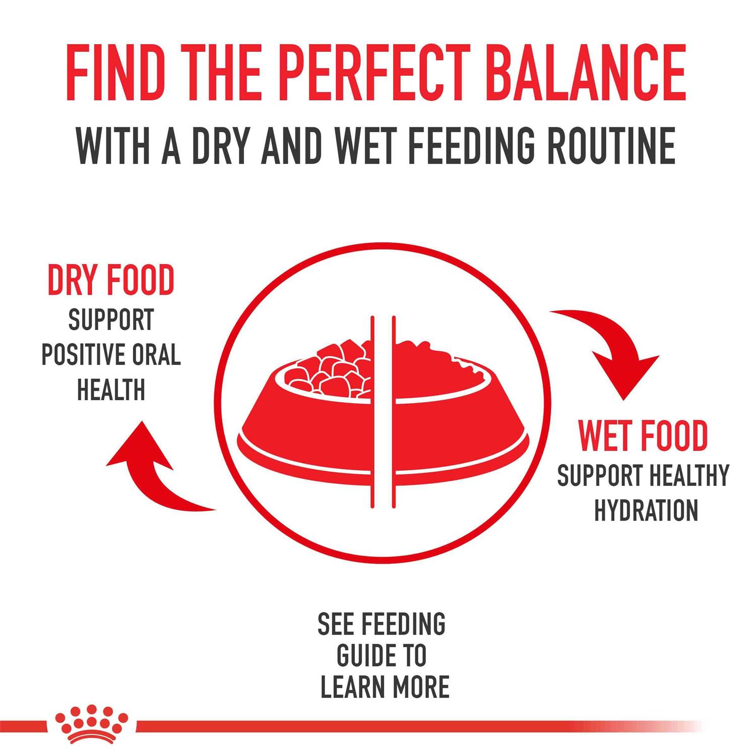 Royal Canin Felne Health Nutrition Special 33 Cat Dry Food - Healthber