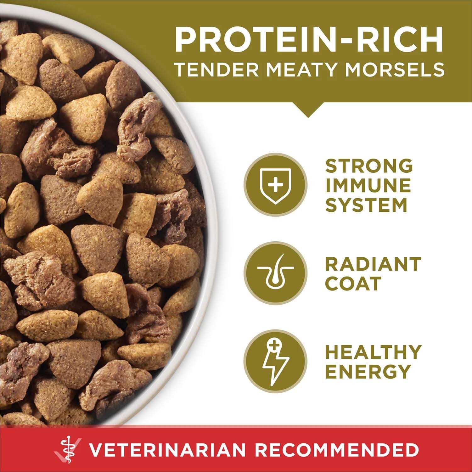 Purina ONE Natural Dry Dog Food SmartBlend Lamb Rice Formula - Healthber