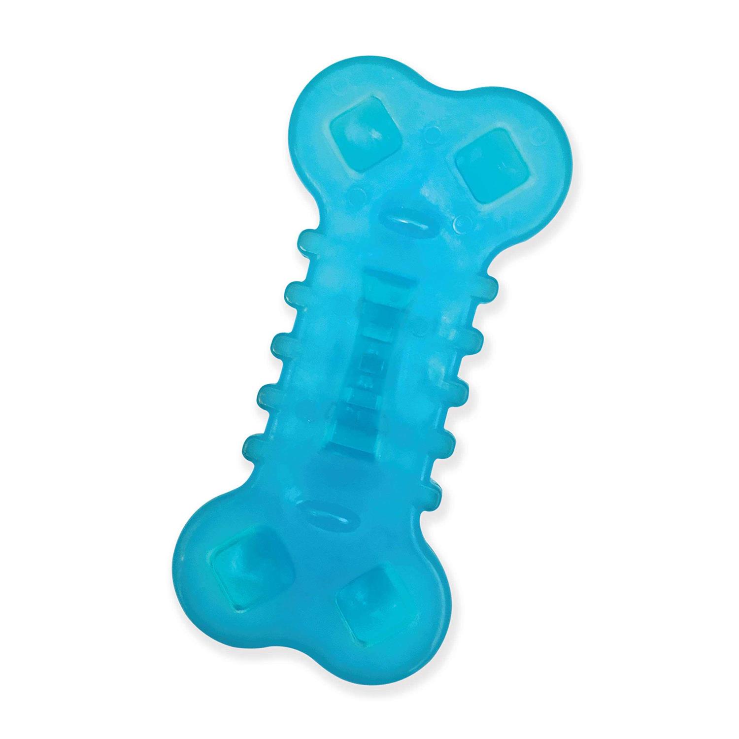 Nylabone Chill & Chew Freezer Chicken Flavored Dog Chew Toy, Medium - Healthber