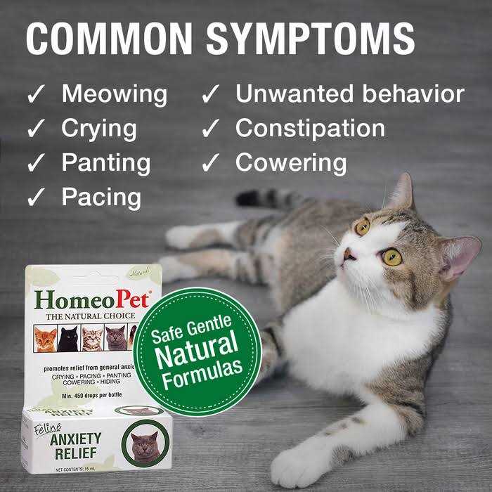 HomeoPet Feline Anxiety Relief - Healthber