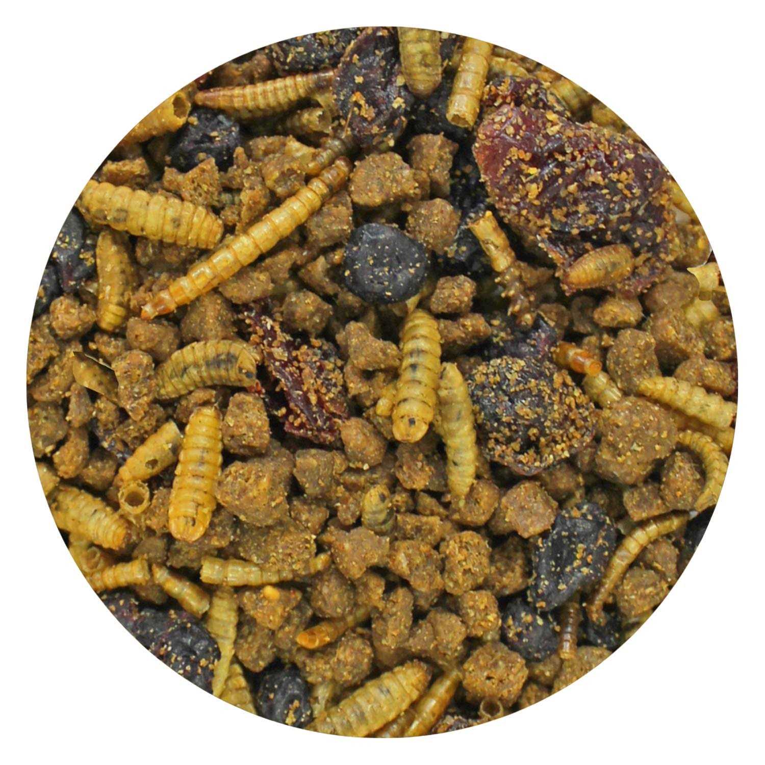 Exotic Nutrition Berries & Bugs Insectivores Food - Healthber